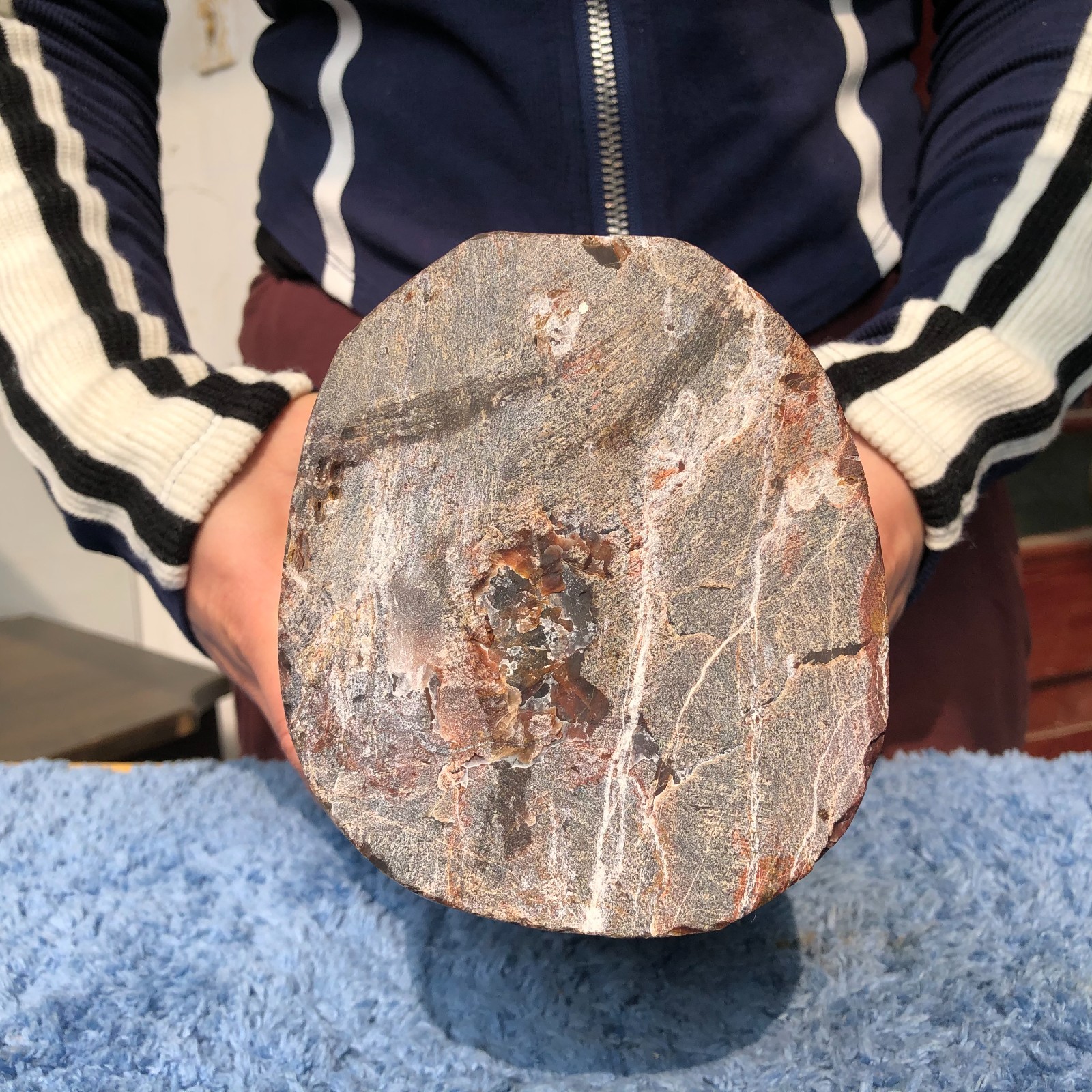 16.3LB Natural wood fossil quartz crystal mineral specimens healing
