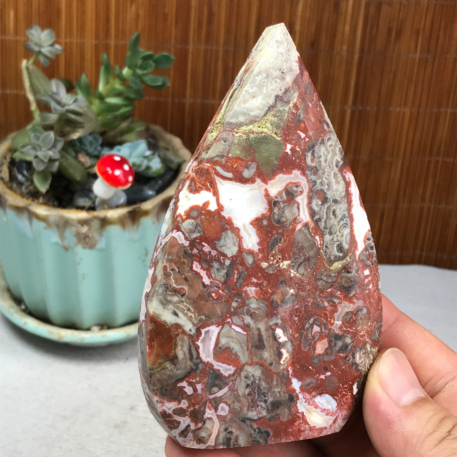 Natural money Mexico agate hand carve leaf Crystal Specimen free standing A6255