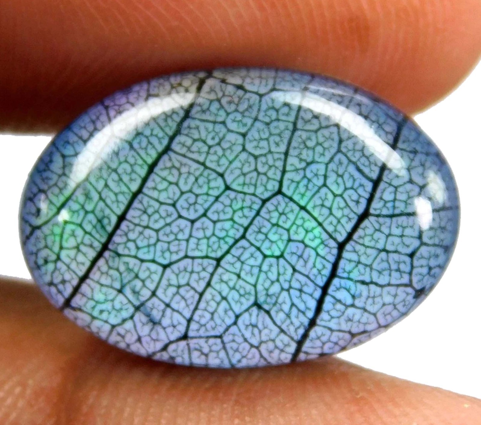 Oval IGL 7.85 Ct Natural Aurora Blue Fire Opal Doublet Rainbow Color Gems 5SJC