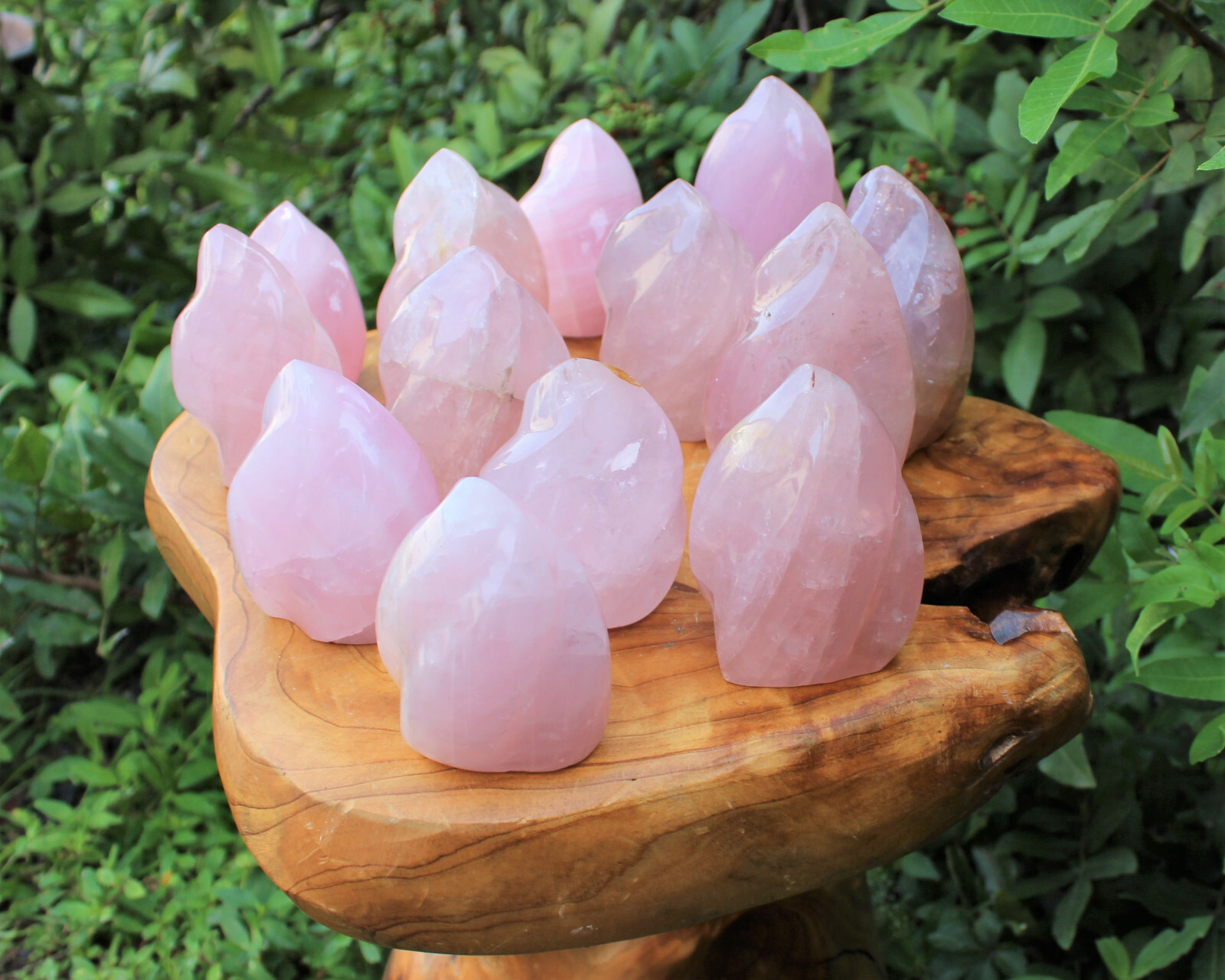 Polished Rose Quartz Crystal Flame – Natural Rose Quartz Flame Cut Base Specimen