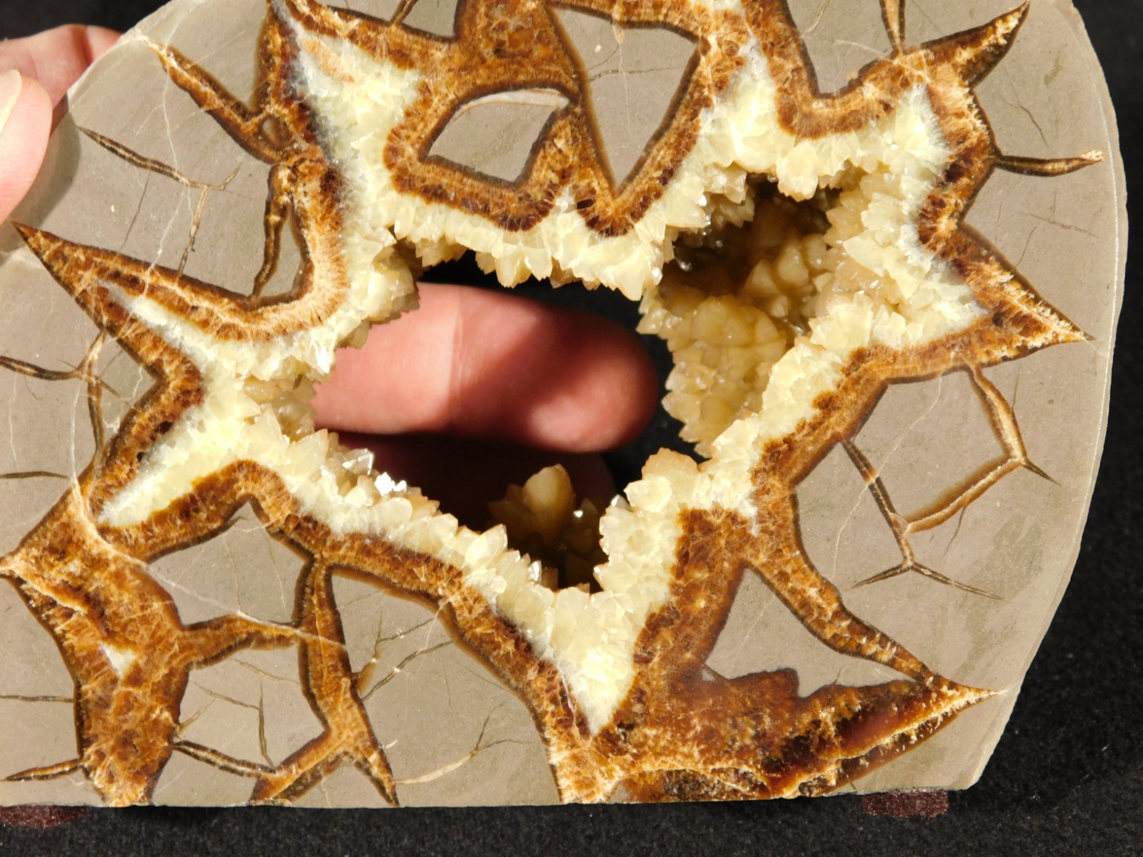 Big! Polished AAA Crystal Filled Hollow Septarian GEODE FREE Standing Utah 780gr