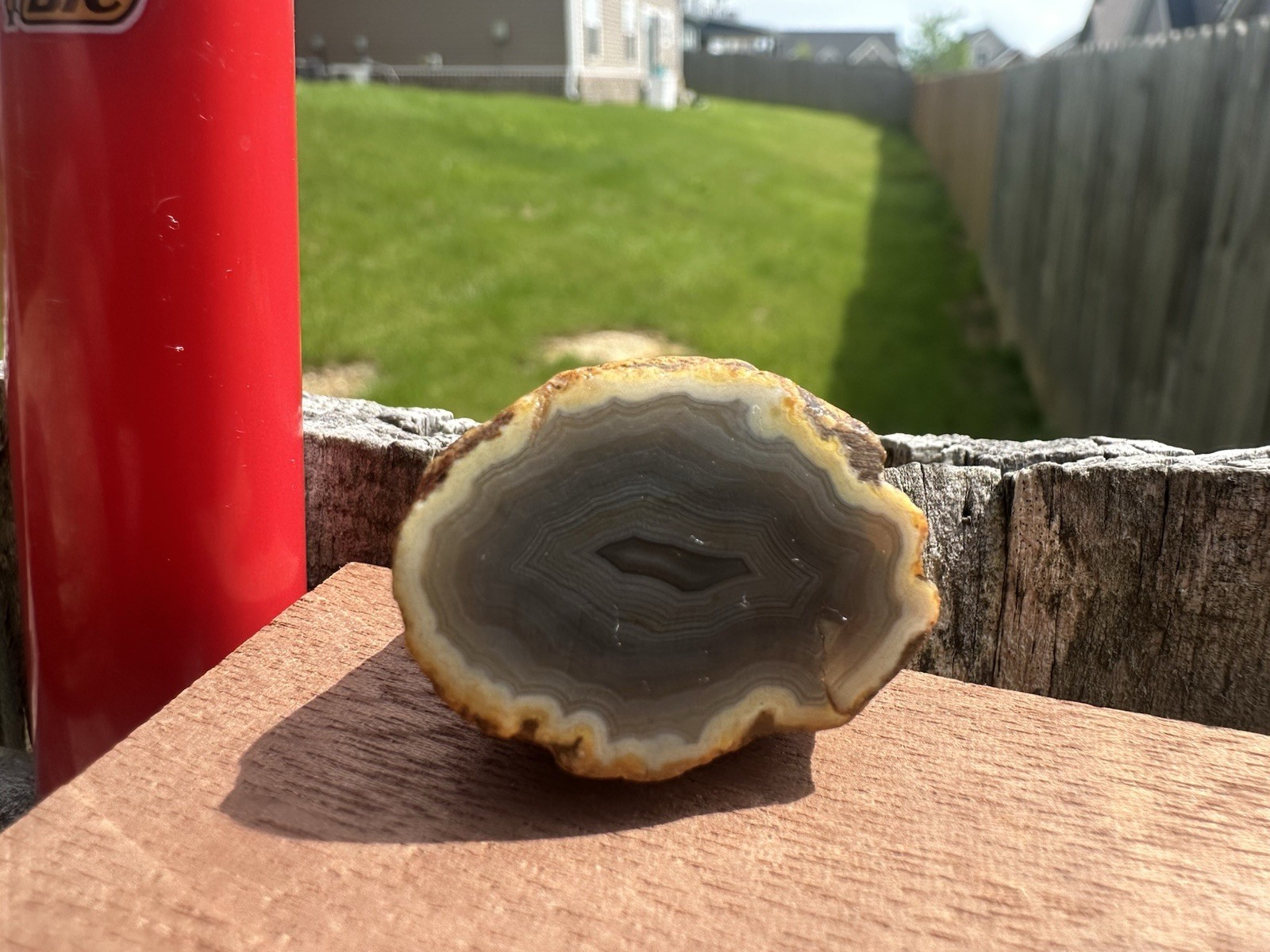 Kentucky Agate w/ Flawless Banded Fortifications, Crystal Mineral Specimen