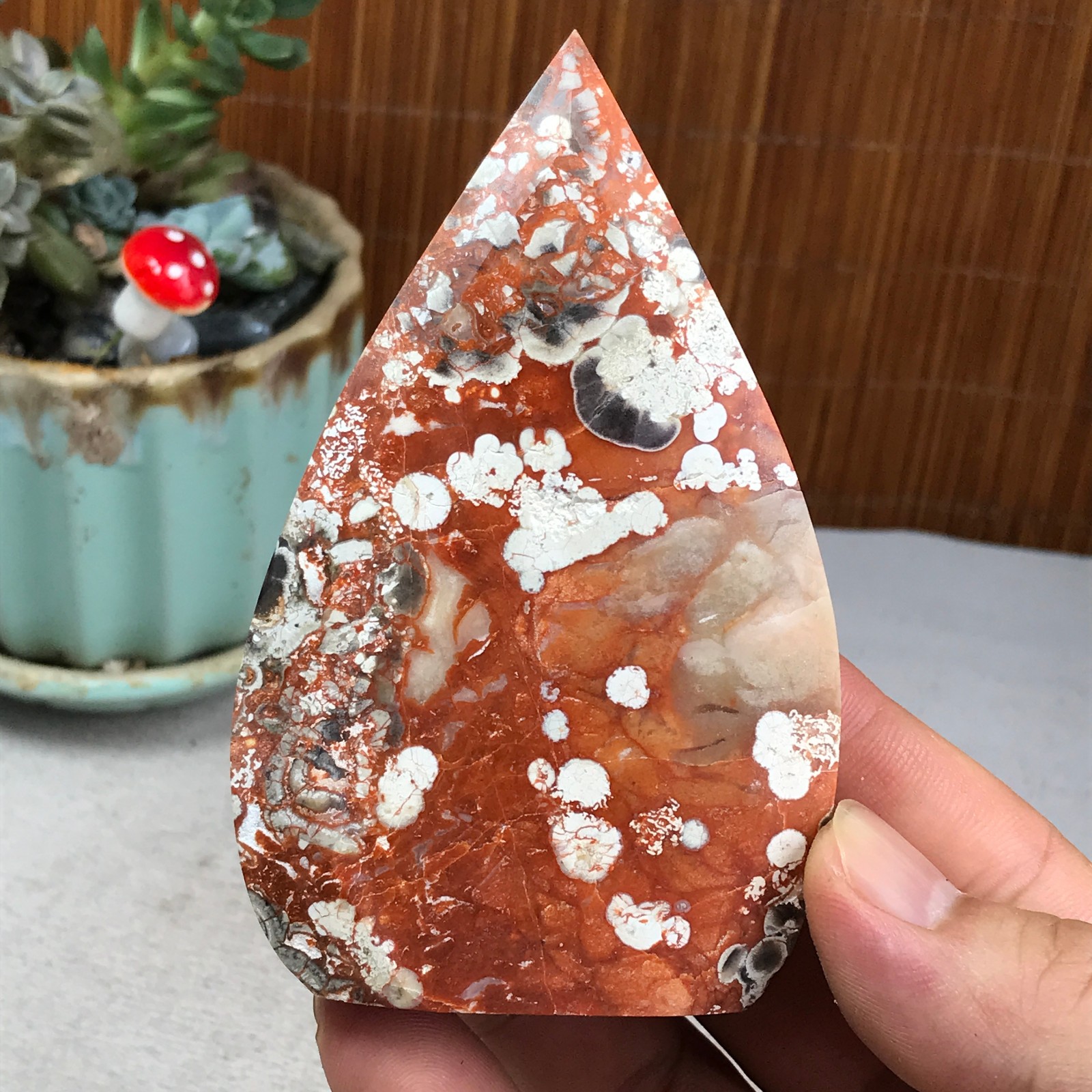 Natural money Mexico agate hand carve leaf Crystal Specimen free standing A6266