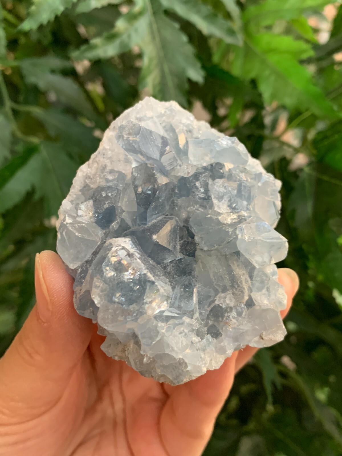 Raw Celestite Cluster, Celestite Geode, Natural Blue Celestite, Pick a Weight