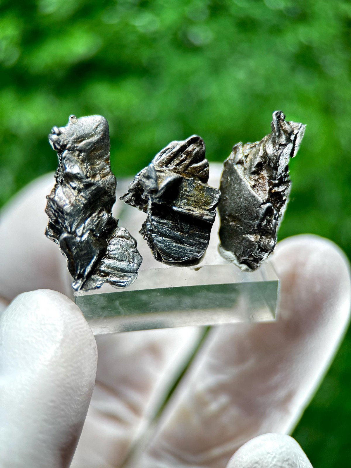 Genuine Aletai Iron Meteorite / From the Asteroid Belt Between MARS AND JUPITER!