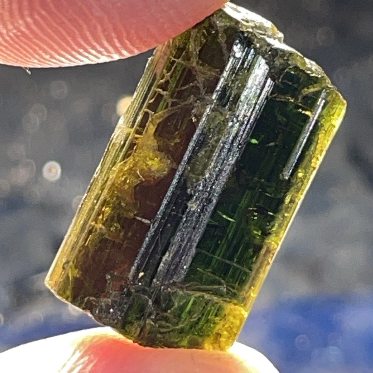 BEAUTIFUL RARE CHROME DRAVITE TOURMALINE THUMBNAIL TANZANIA, AFRICA