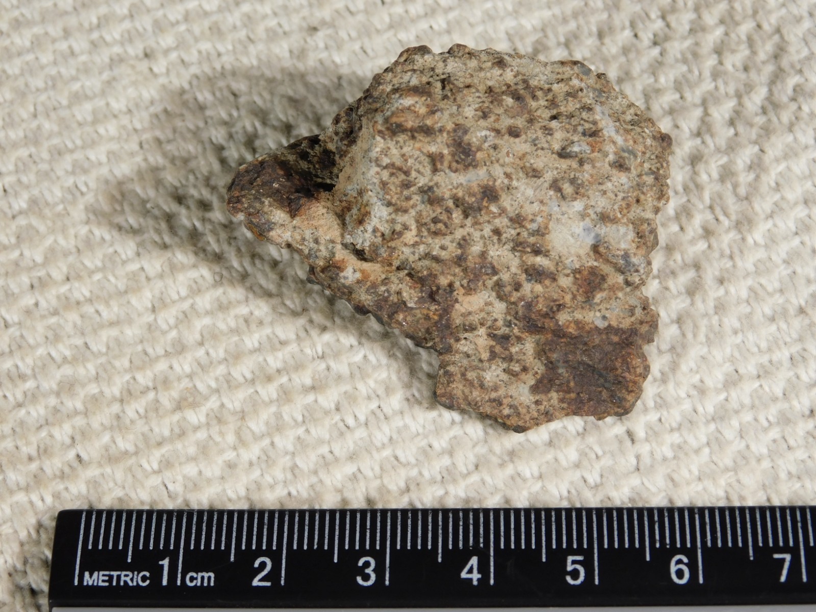 Classified NWA 8245 METEORITE 100% Natural FELL on Erfoud, Morocco 47.3gr
