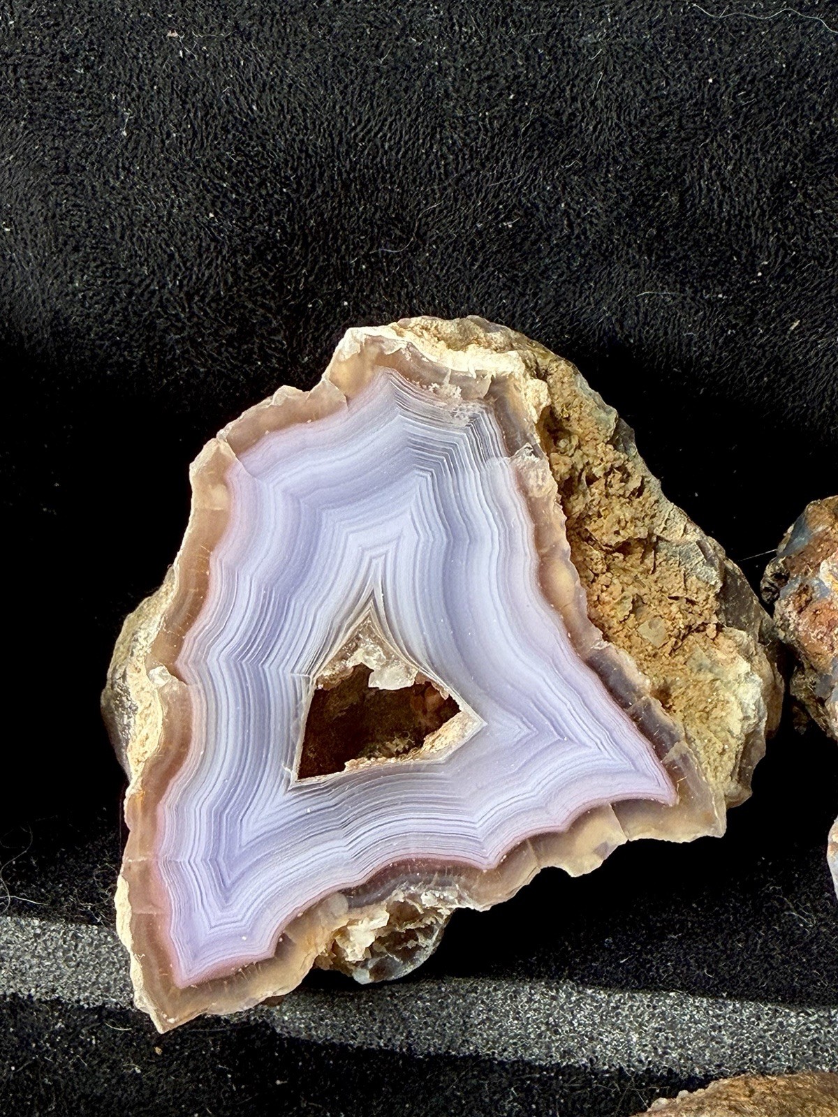 Huge Collection of Coyamito Agates. Mirror Polished Mexico. HARDAGATES