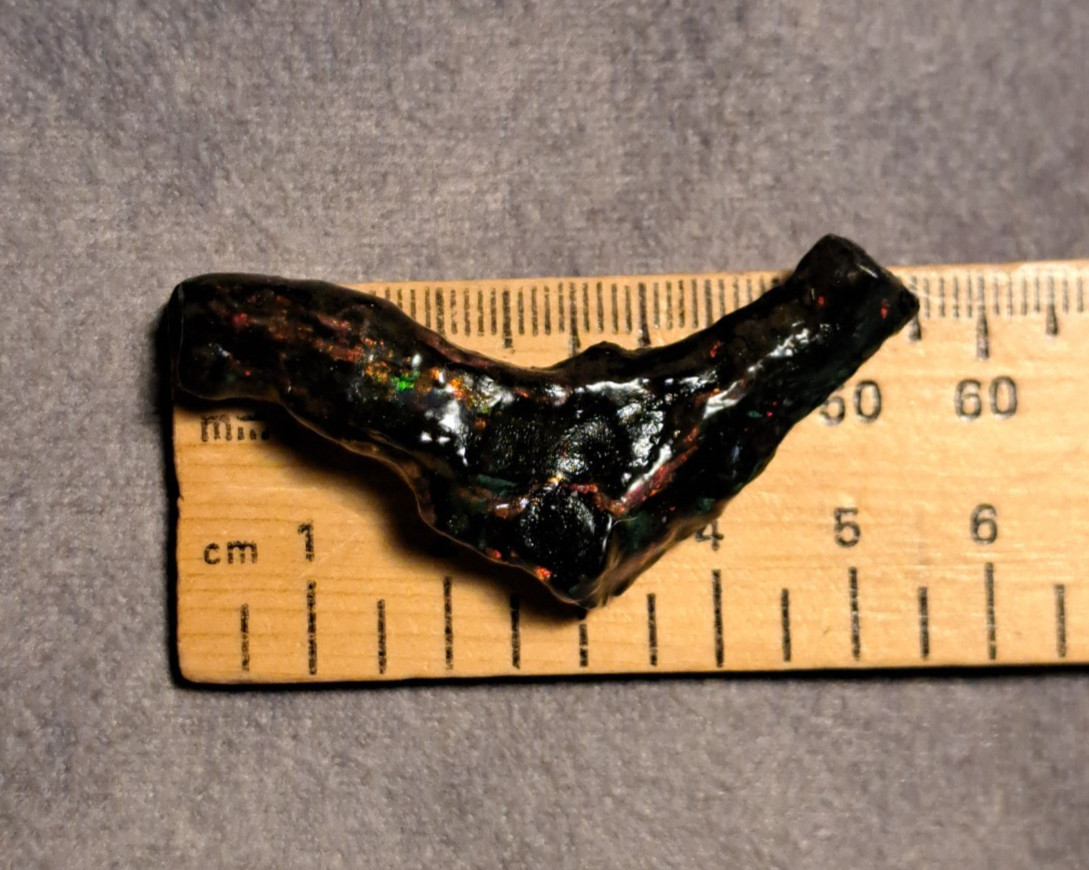 Huge Multicolor 38.52ct Indonesian Wood Opal Fossil Red, Green, & Yellow Flashes