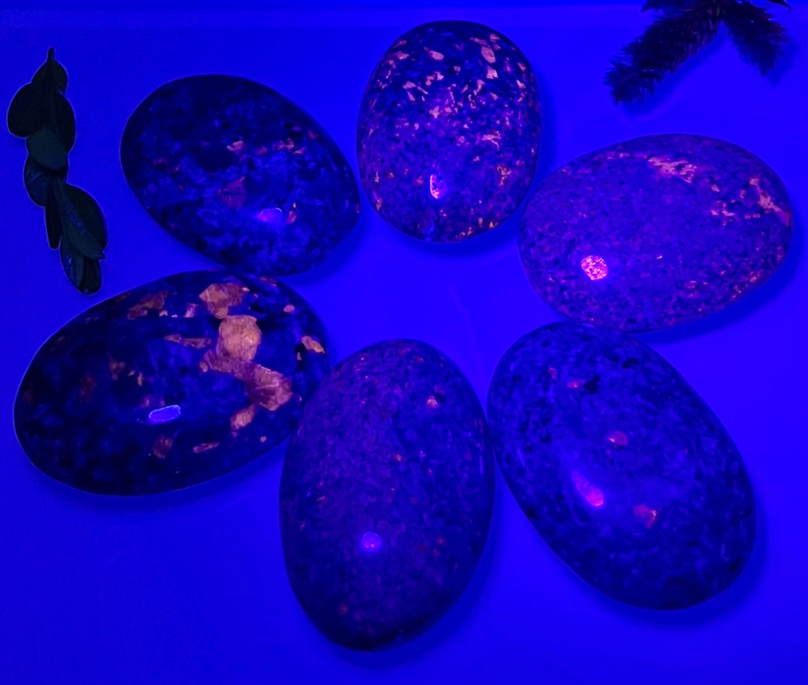 Wholesale Lot 6-8PCs Natural Emberlite Aka Yooperlite Palm Stone Crystal Healing