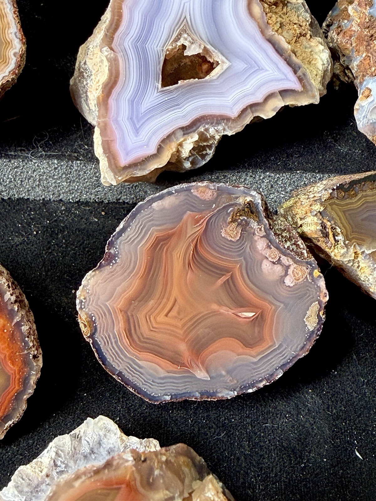 Huge Collection of Coyamito Agates. Mirror Polished Mexico. HARDAGATES