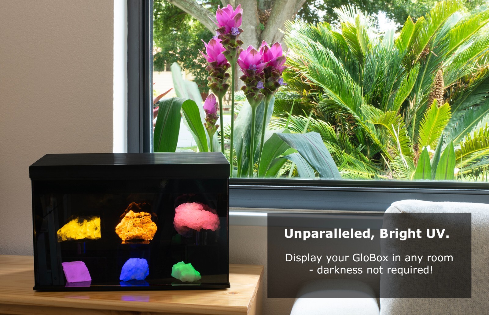 GloBox UV Mineral Display – 365nm Fluorescent Mineral Display