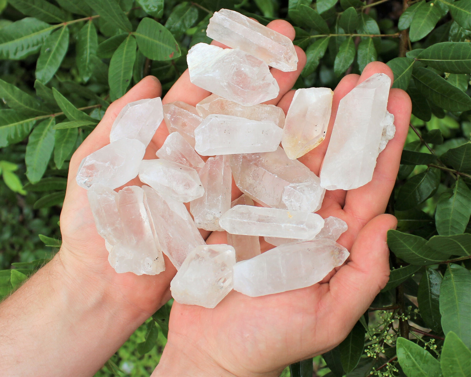 Bulk Wholesale 5 lb Lot CLEARANCE Natural Quartz Crystal Points (GREAT VALUE)