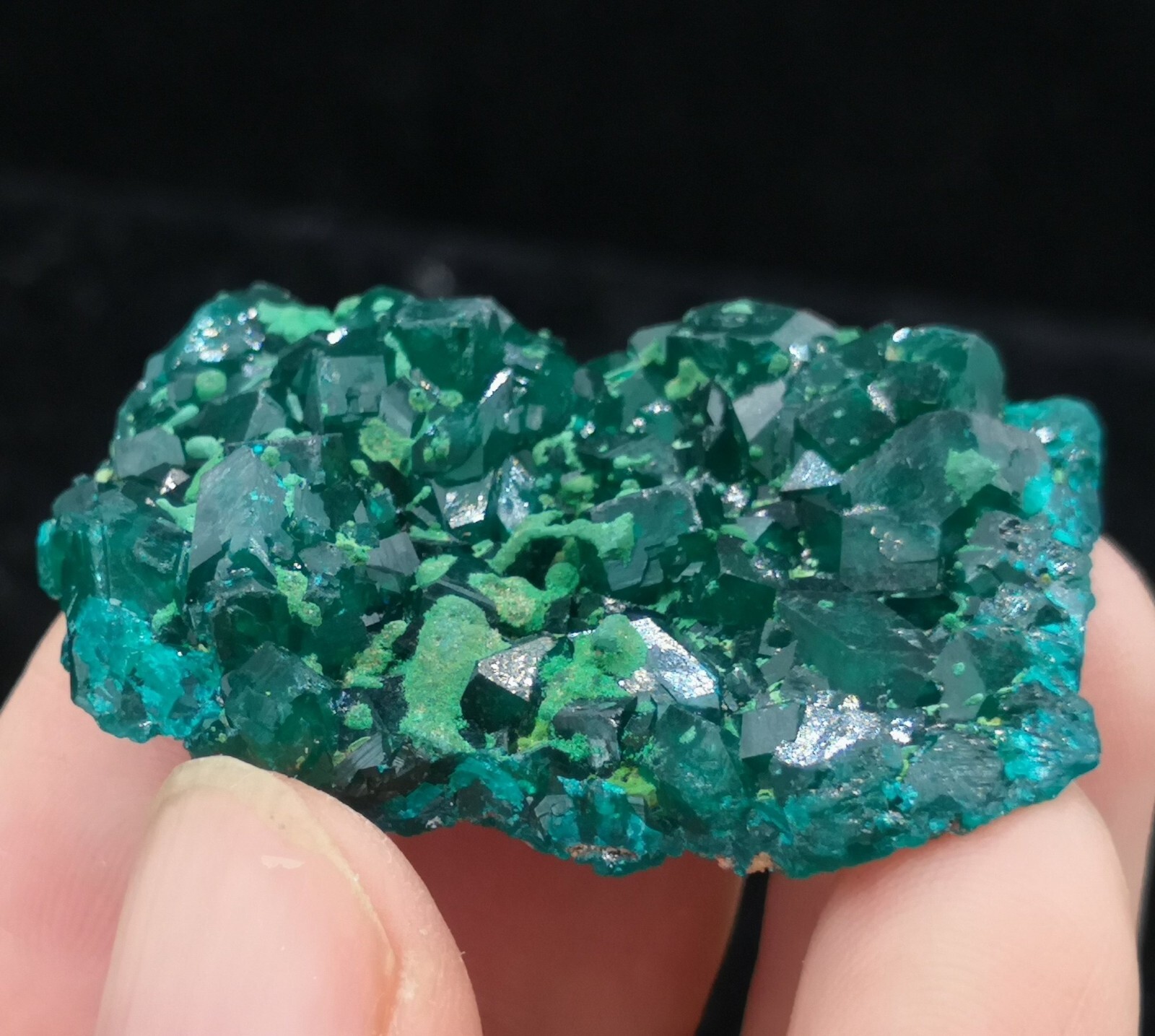 38mm Malachite on Gemmy Dioptase mined from Congo, Natural Mineral Specimen