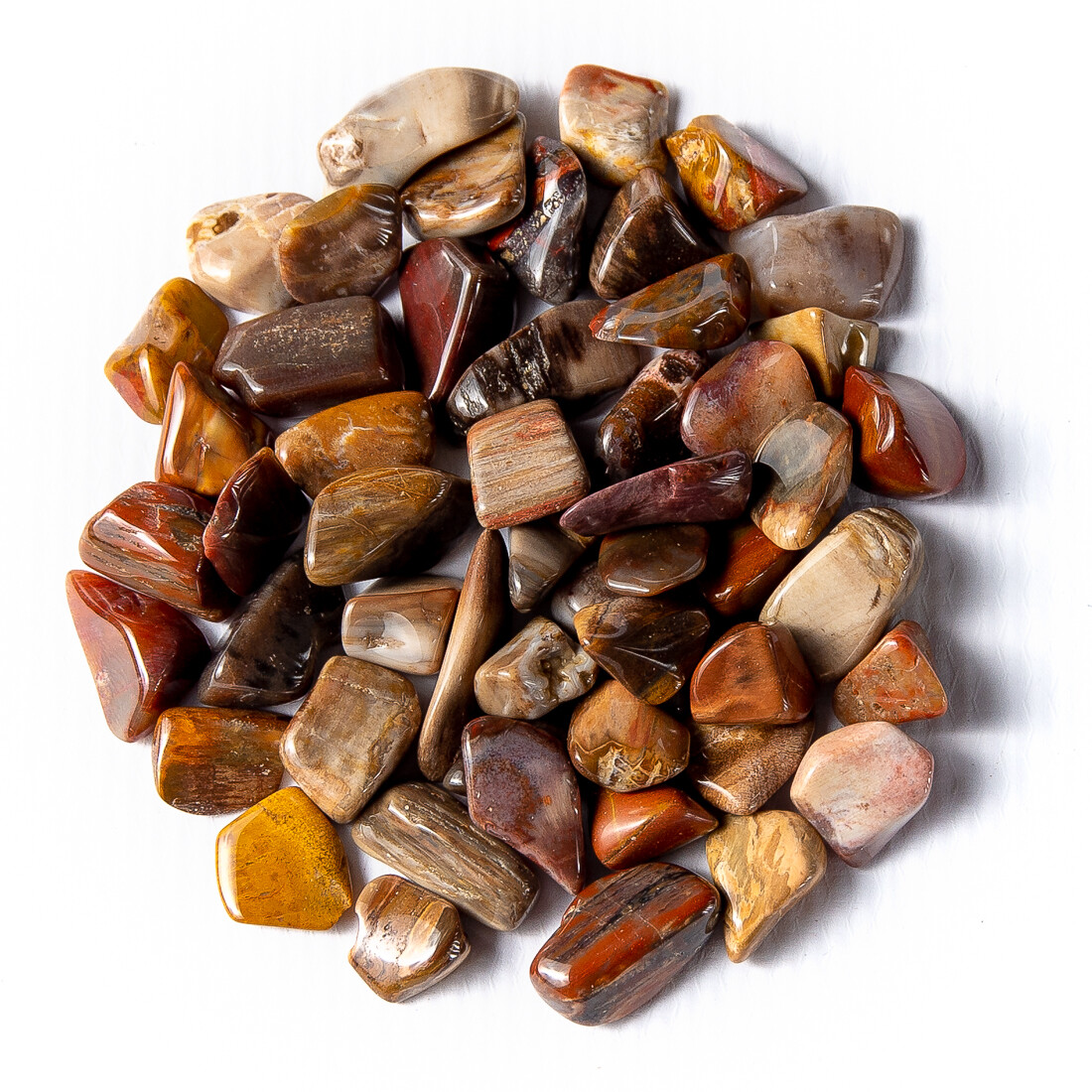 1 lb Tumbled Gemstone Collection Sodalite Picture Jasper Petrified Wood Bulk Gem
