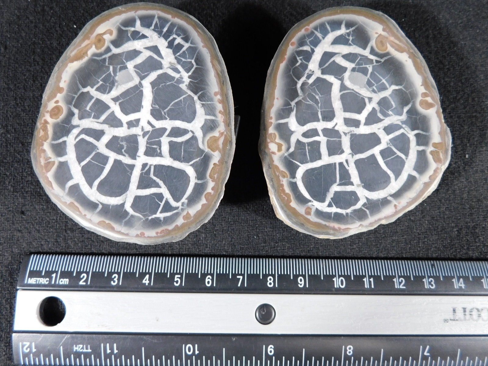 Neat! Lighting Like Pattern! Split and Polished SEPTARIAN Nodule Morocco 248gr
