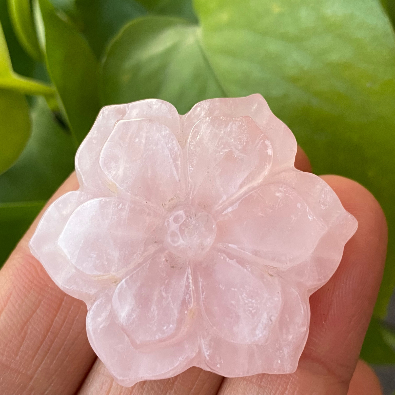 Natural pink rose Quartz flowers skull hand carved reiki Healing 1pc