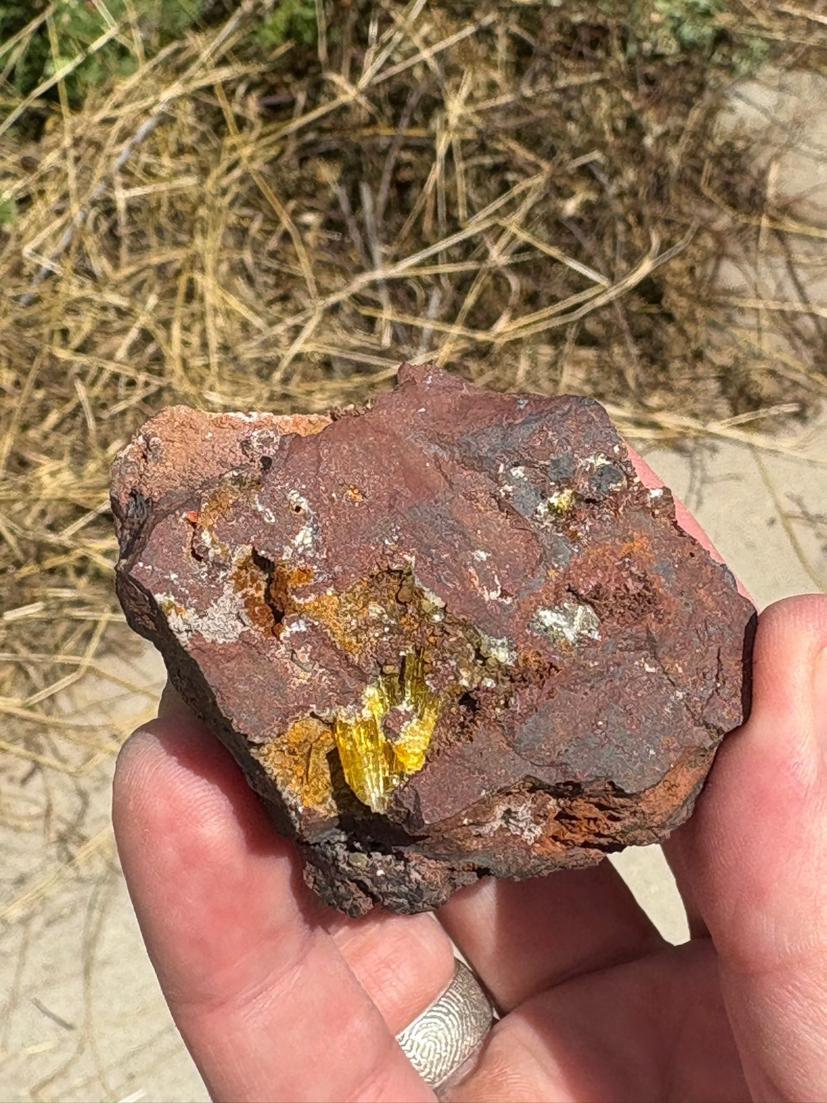 Legrandite crystal spray in matrix, Ojuela mine, Mapimi, Durango, Mexico