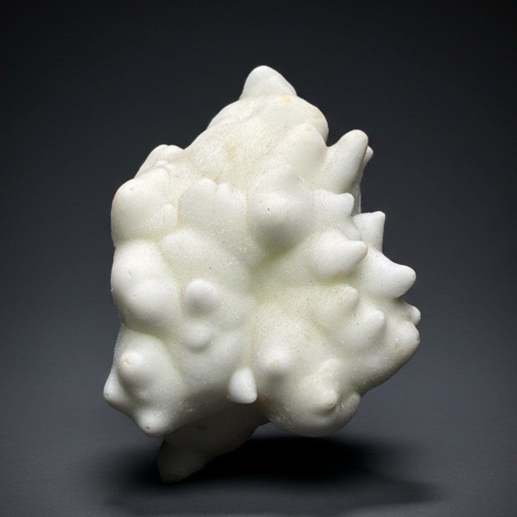 Superb White Flos Ferri Aragonite “Flower of Iron” | Lom Vitošov, Czech Republic