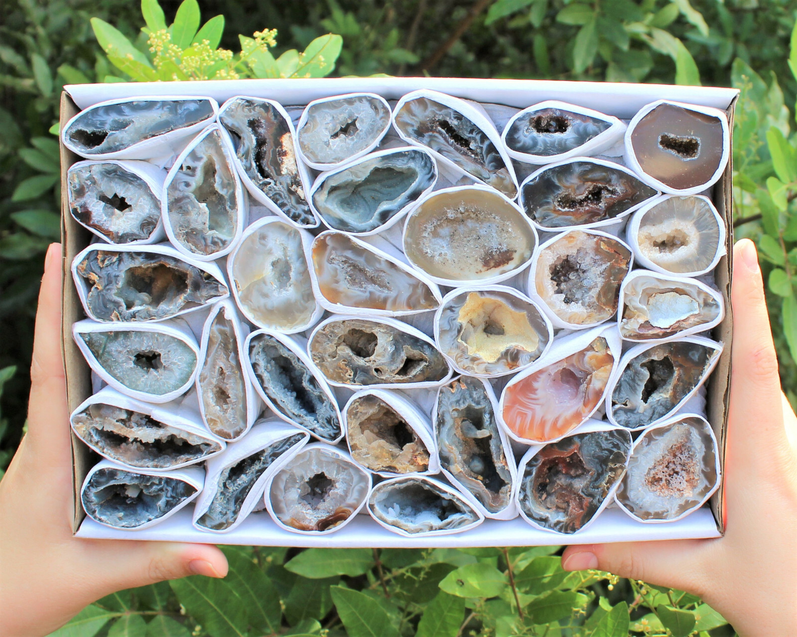 Small Oco Agate Geodes, Natural Crystal Druzy Halves, Bulk Wholesale Lots!