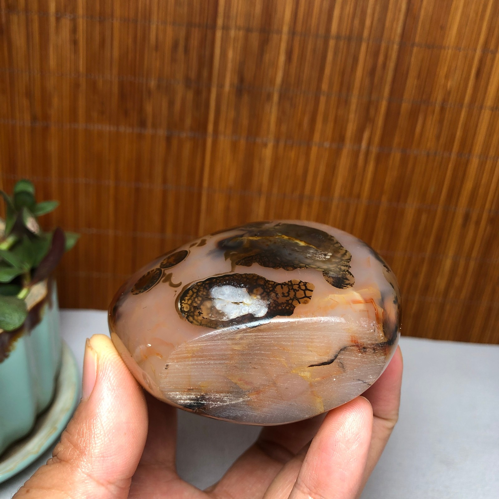 Natural aquatic plants agate pretty Crystal specimens free standing 331g A9998