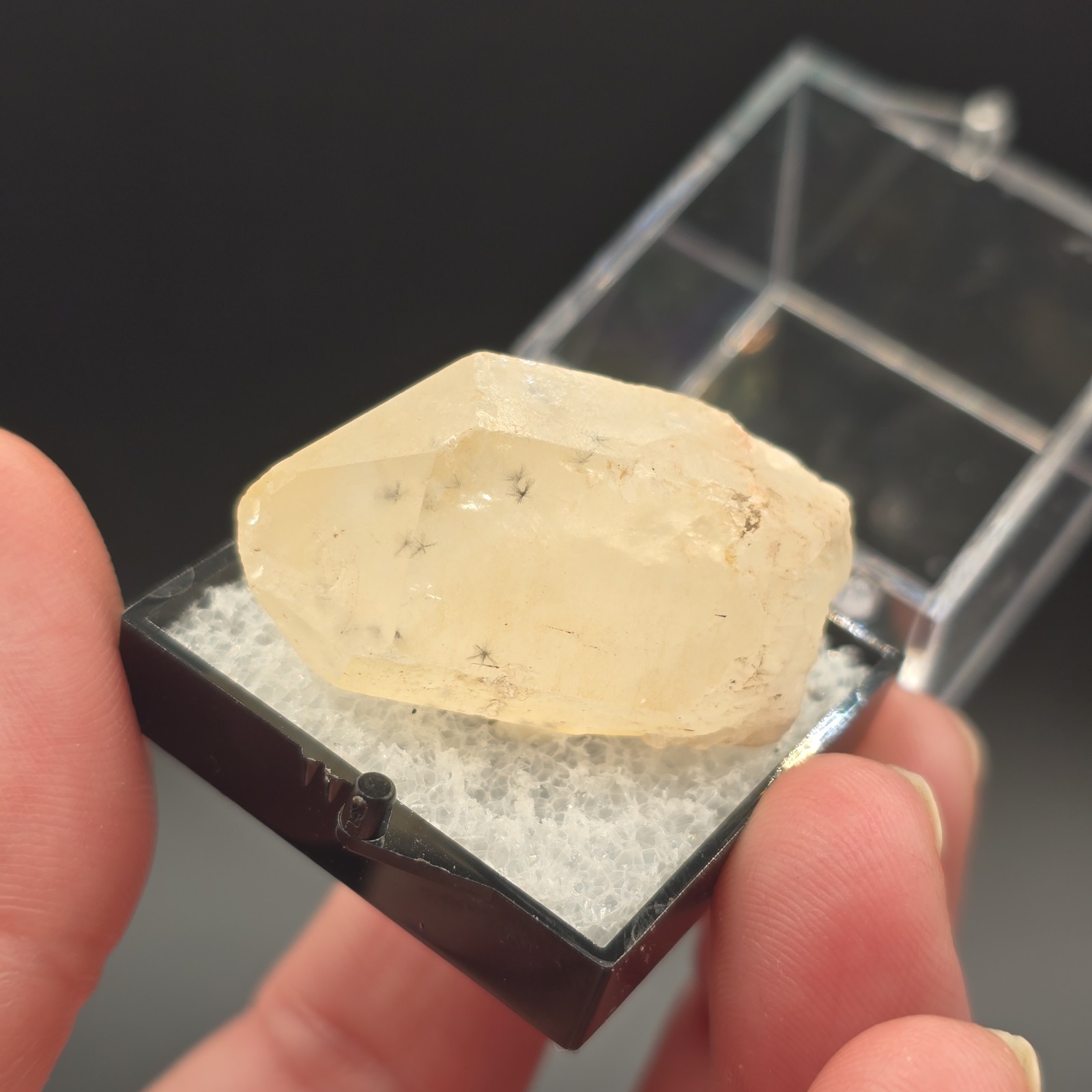 Hollandite Spider Quartz Point Crystal Madagascar Gemstone Specimen in Perky Box