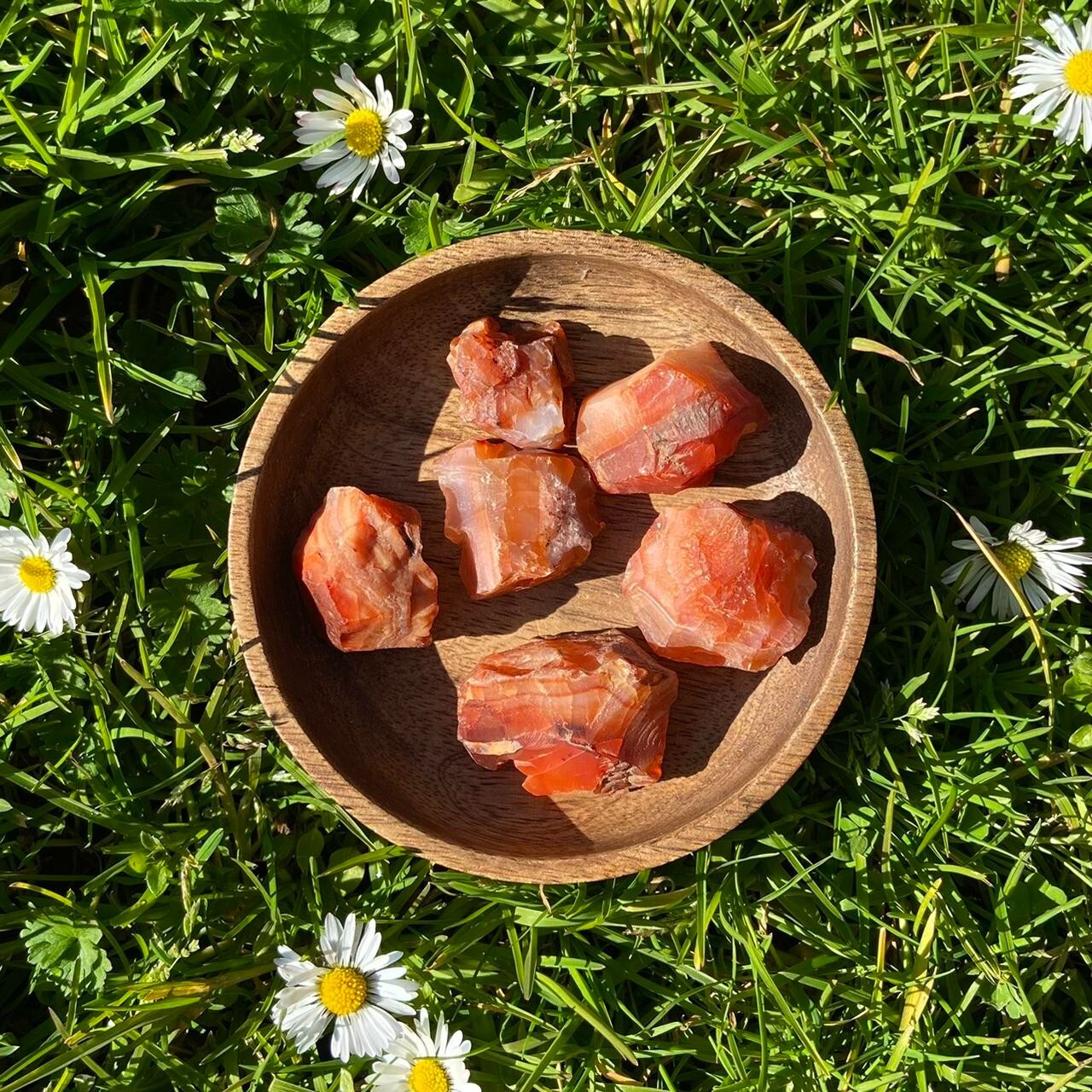 3Pcs Rough Carnelian Raw Stones Red Agate Rocks Crystal Mineral Specimens