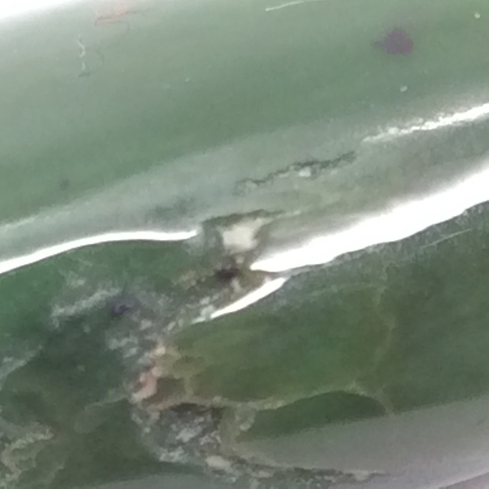 Siberian Jade Pebble Green Nephrite Jade Stone Sayan Mountain Siberia Russia 14