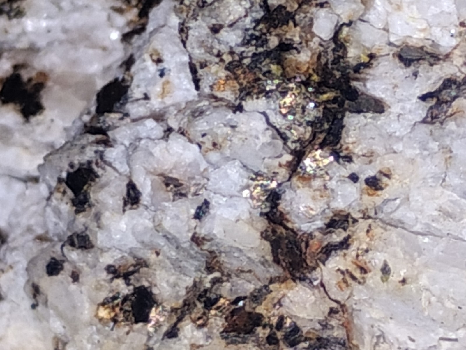 Polymetallic Ore Matrix Quartz, Pyrite & Silver/Black Sulfides – Blue Mountain?