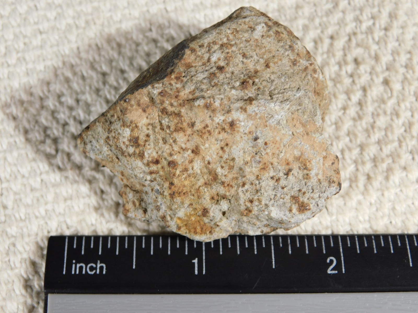 Classified NWA 8245 METEORITE 100% Natural FELL in Erfoud, Morocco 63.2gr