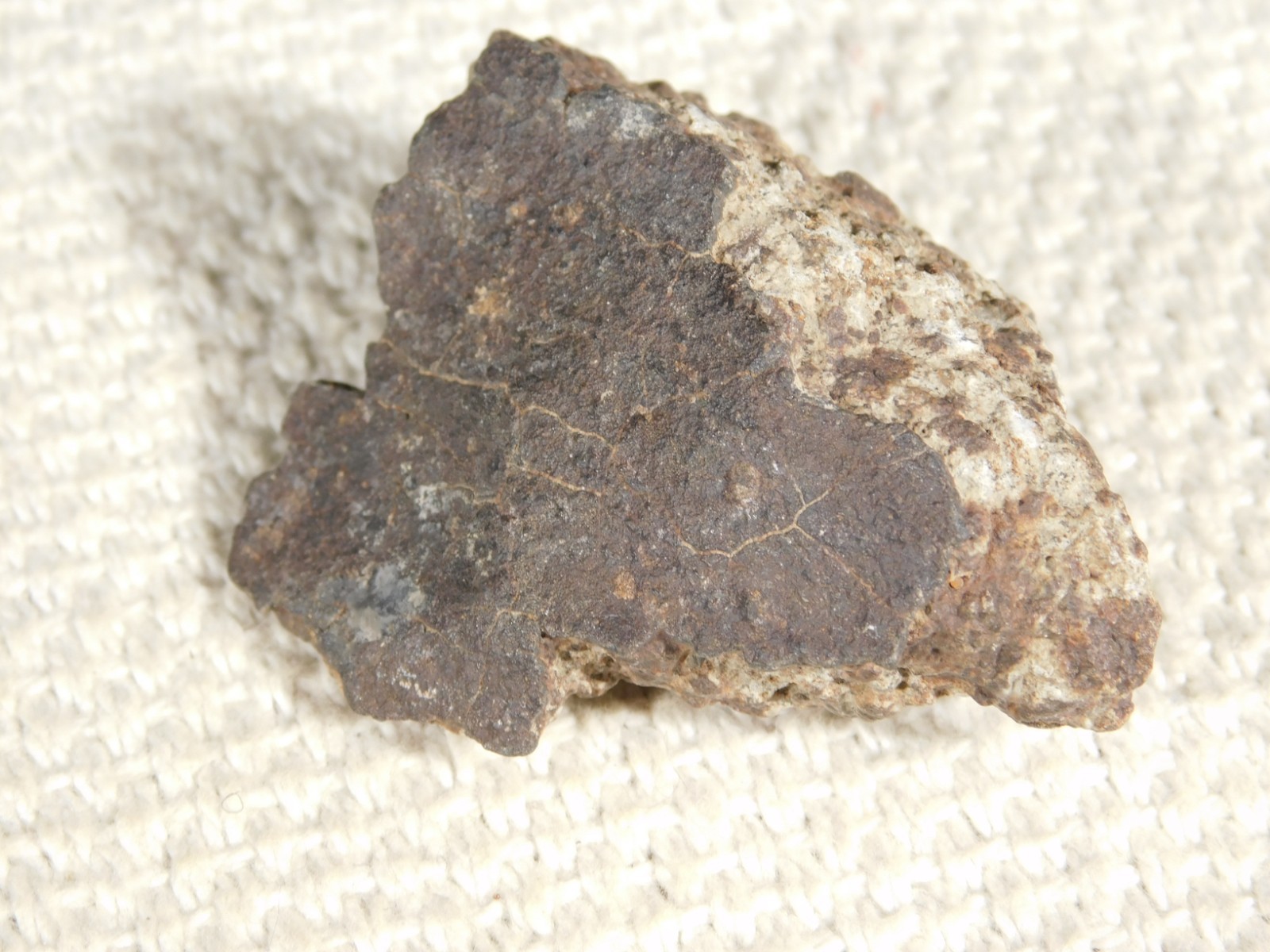Classified NWA 8245 METEORITE 100% Natural FELL on Erfoud, Morocco 47.3gr