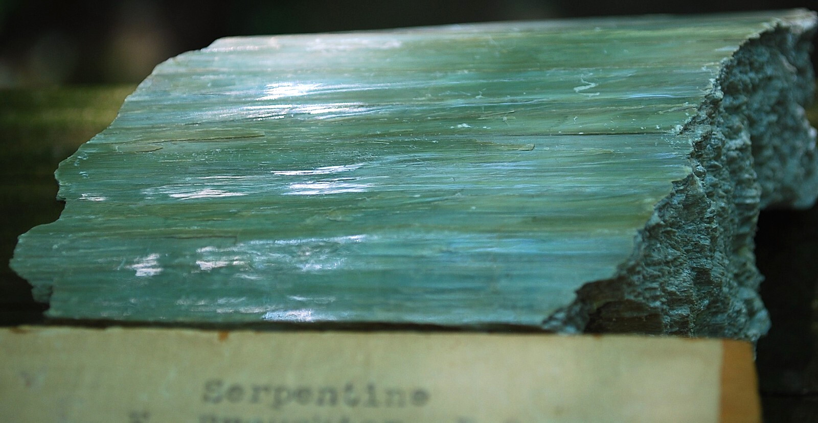 Natural GREEN SERPENTINE STONE Mineral MUSEUM NMBR SPECIMEN Quebec MOUNTED 4.25″