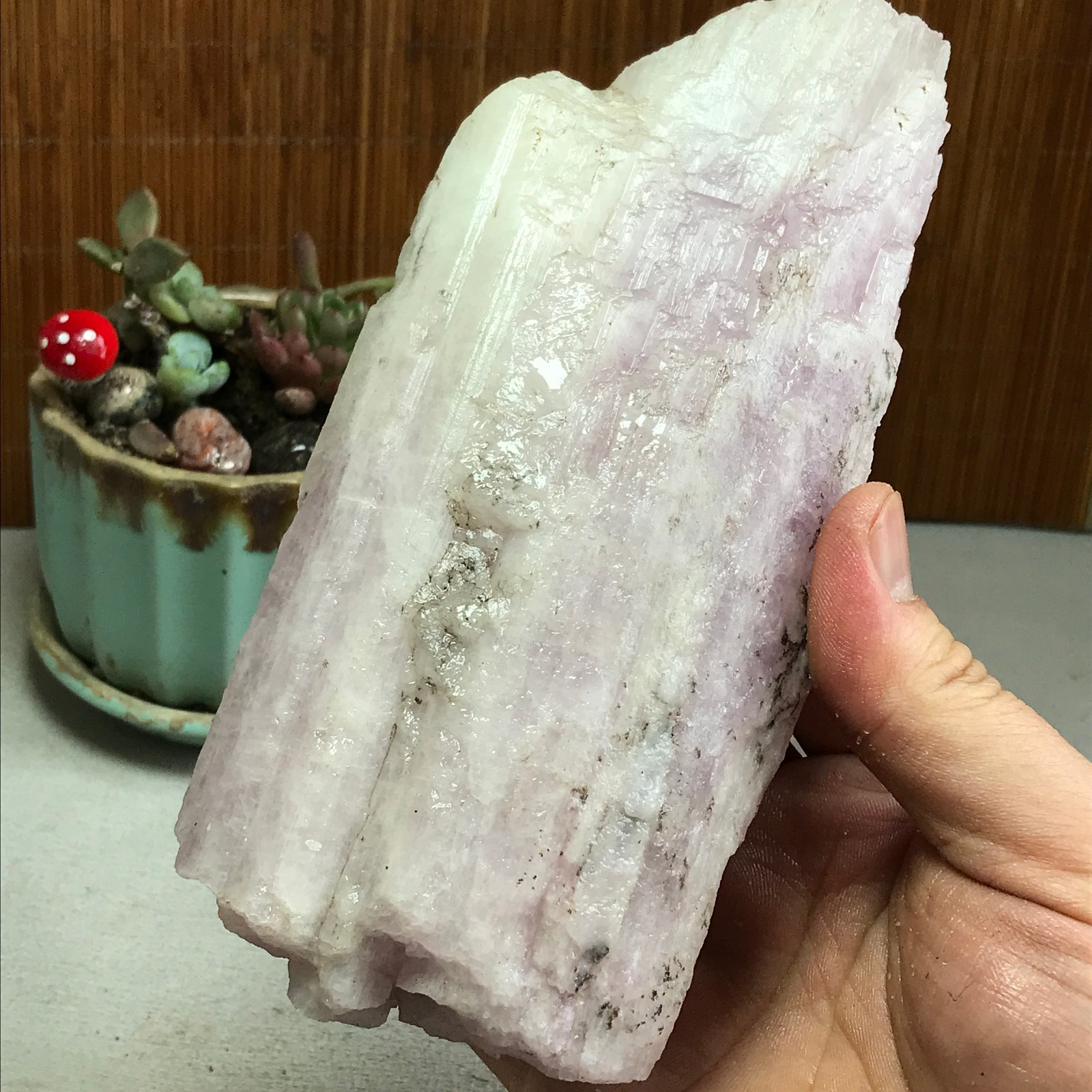 170-78-40mm NATURAL ROUGH KUNZITE PINK SPODUMENE CRYSTALS 830g A4613