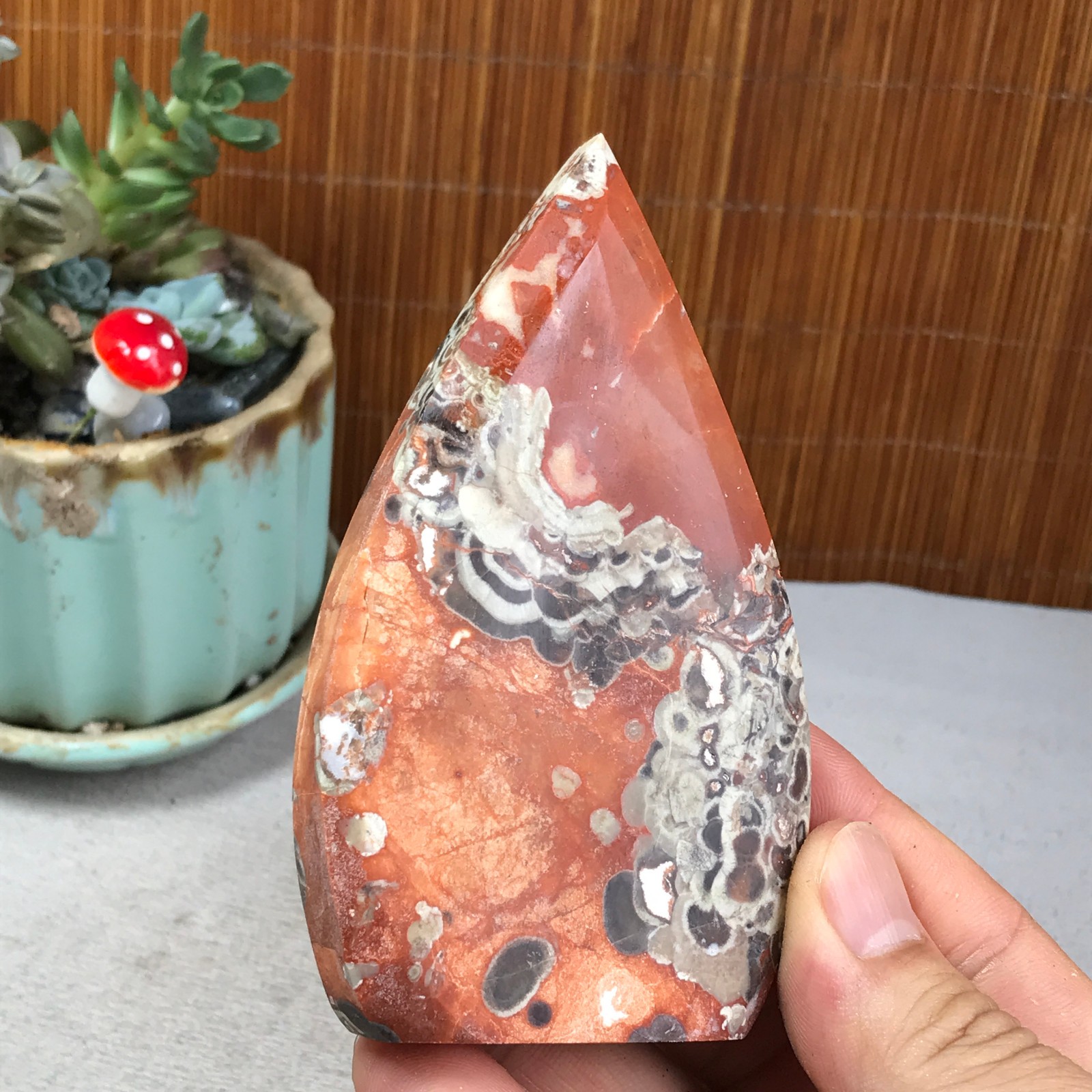 Natural money Mexico agate hand carve leaf Crystal Specimen free standing A6261