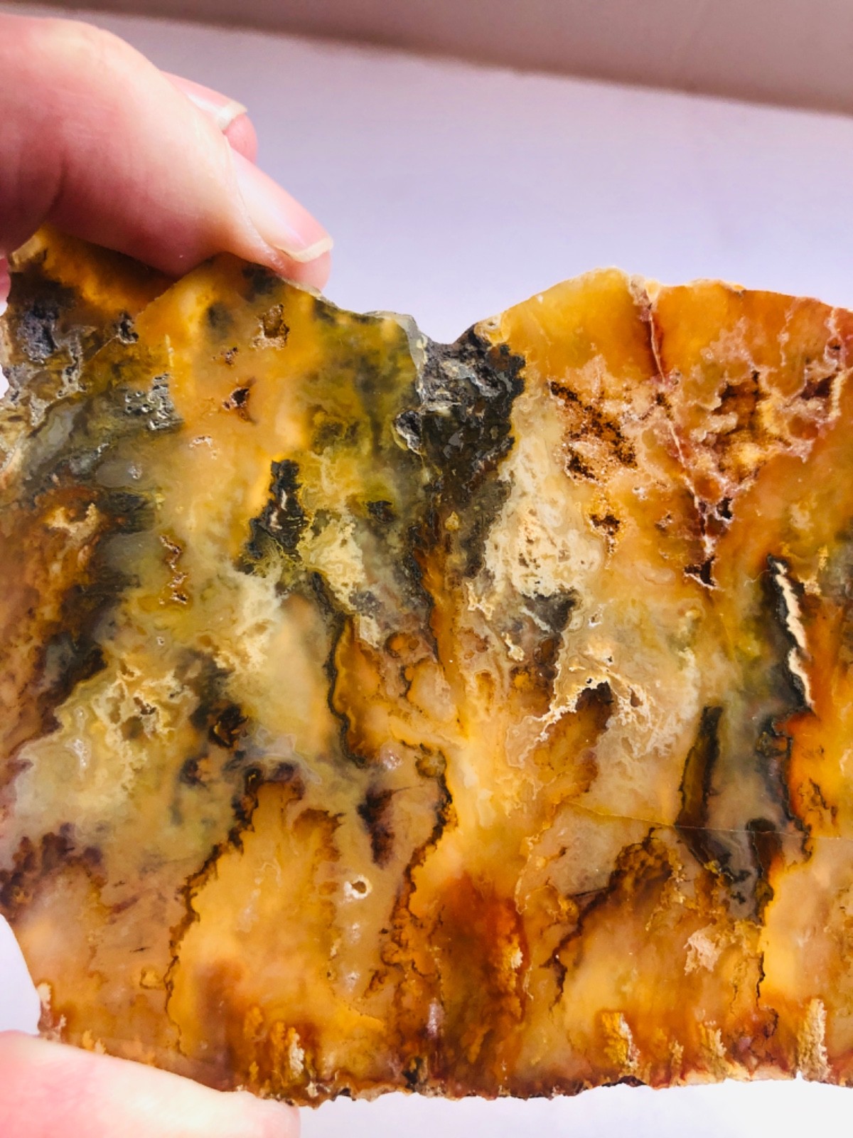 Graveyard Plume Agate Museum Grade Collectors Slab Oregon 202 Grams