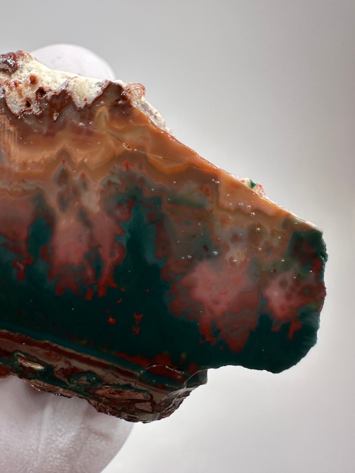 PREMIUM SPECIMEN__RARE Idaho Sunset Jasper / Agate Rough – Lemhi County, Idaho