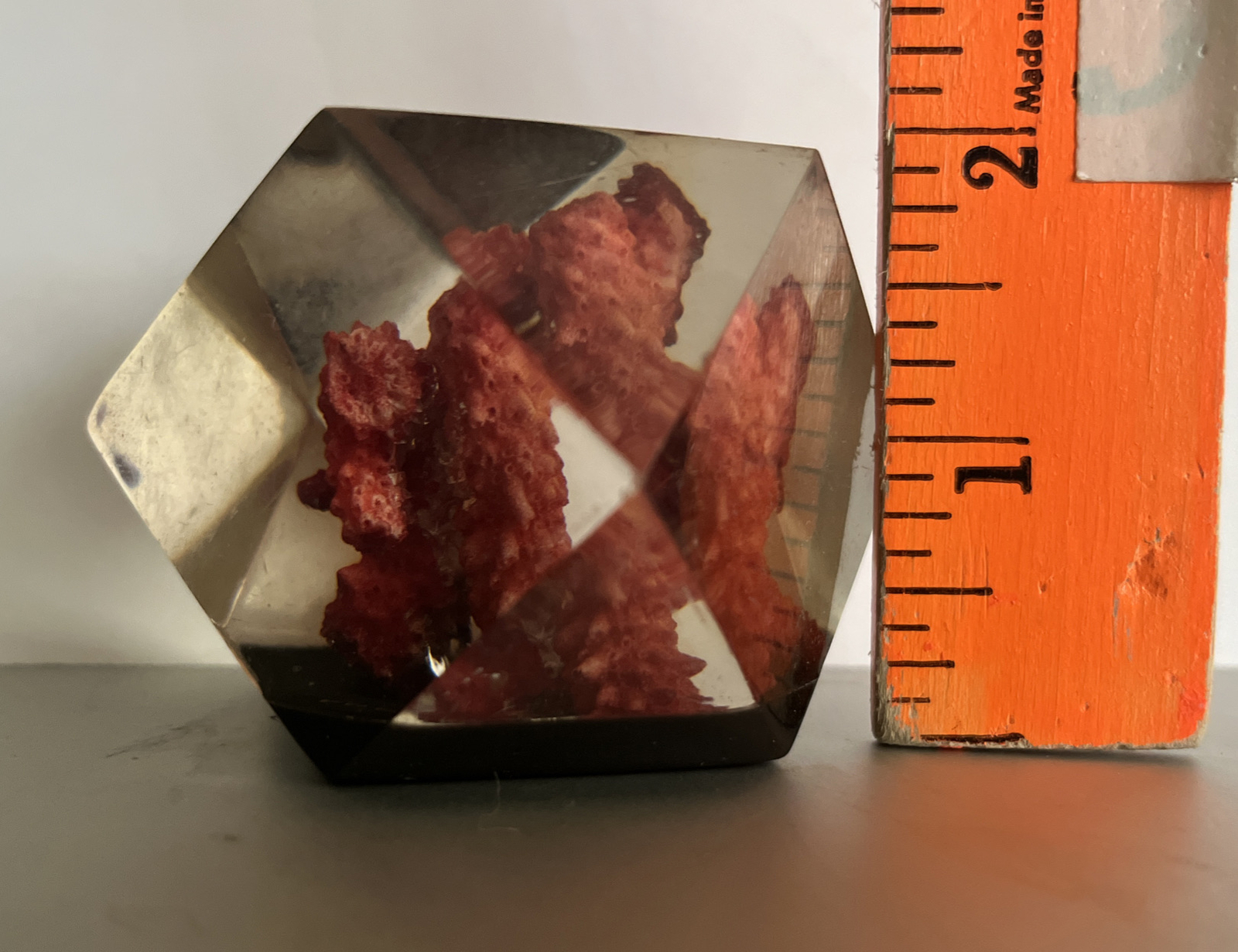 Vtg Lucite Resin 3D Hexagon W/ Red Coral ocean Art Paperweight Decor. Freeport