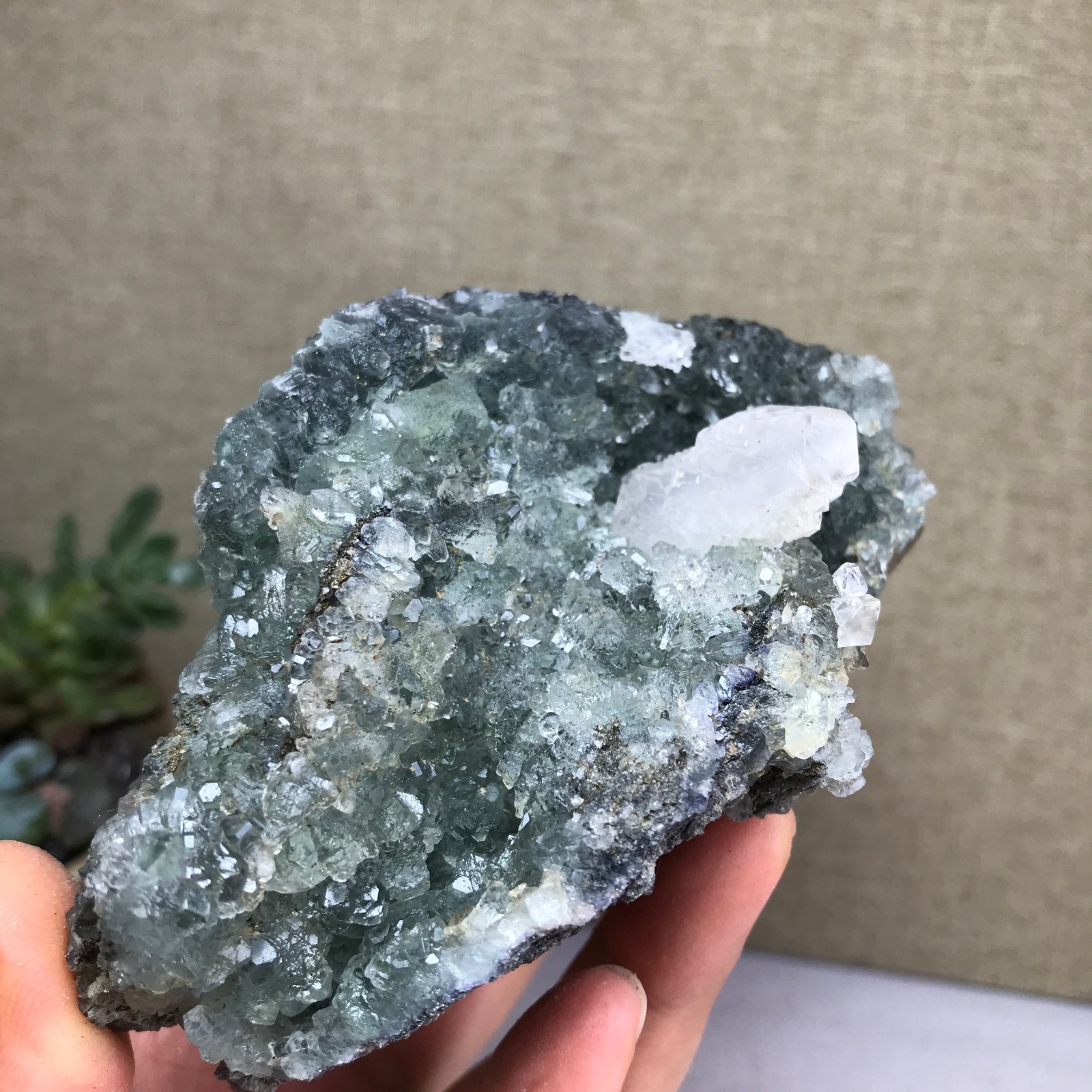 476g NATURAL Green Cubic FLUORITE paragenesis Crystal Cluster Specimen A4780