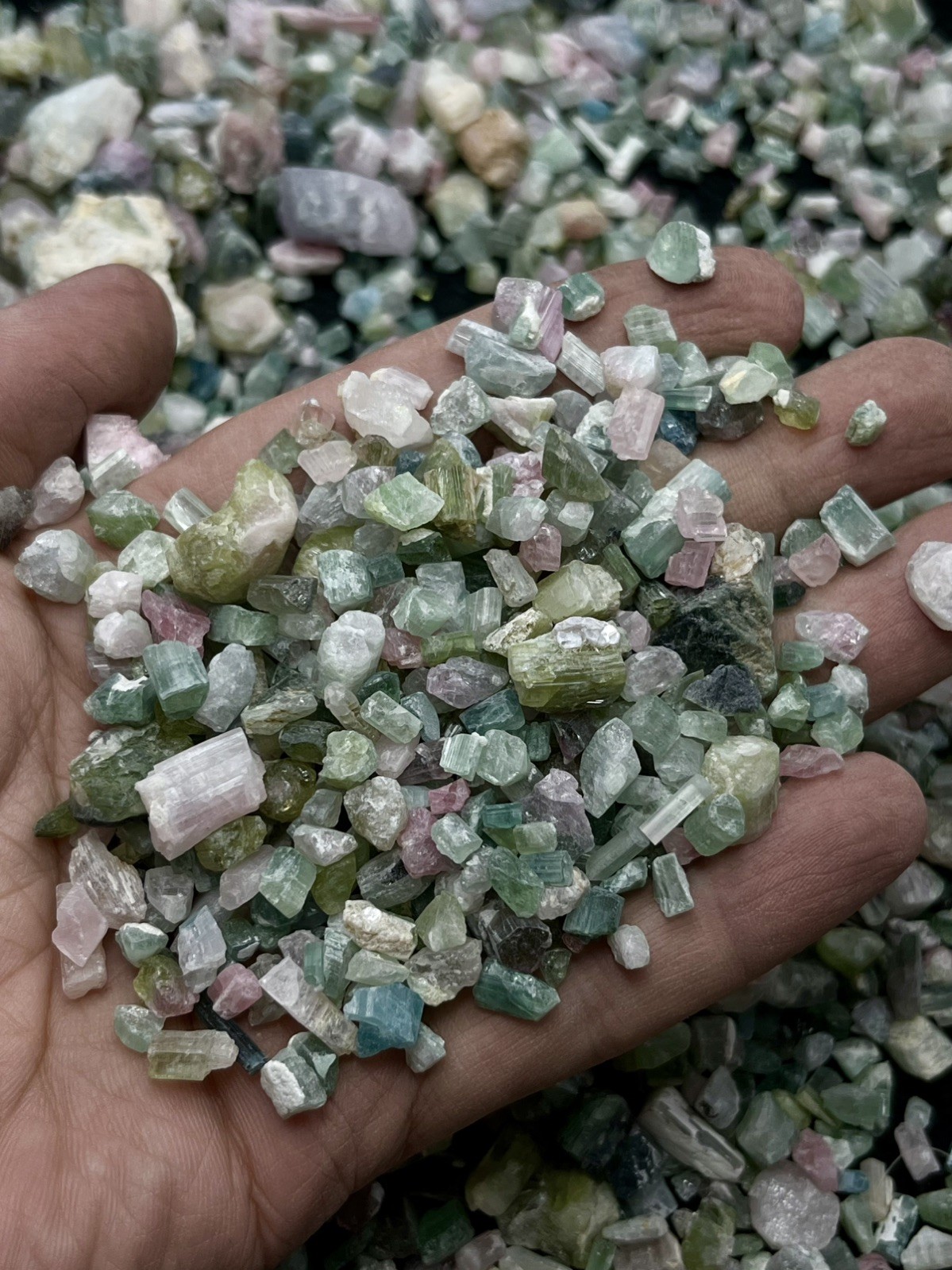 950 grams Natural Beautiful Multicolor Tourmaline Rough Crystals fro Afghanistan