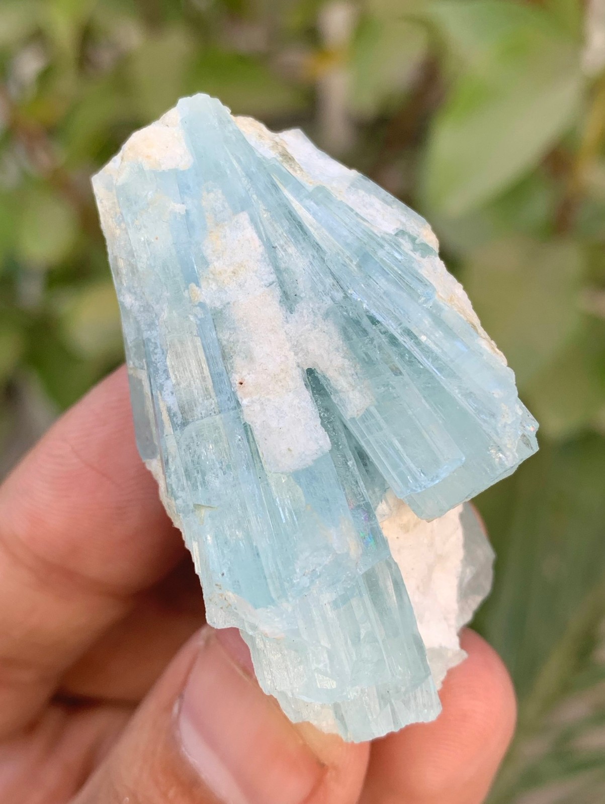 38 Gm Natural Sky Blue Aquamarine Crystal Cluster Specimen From Skardu Pakistan