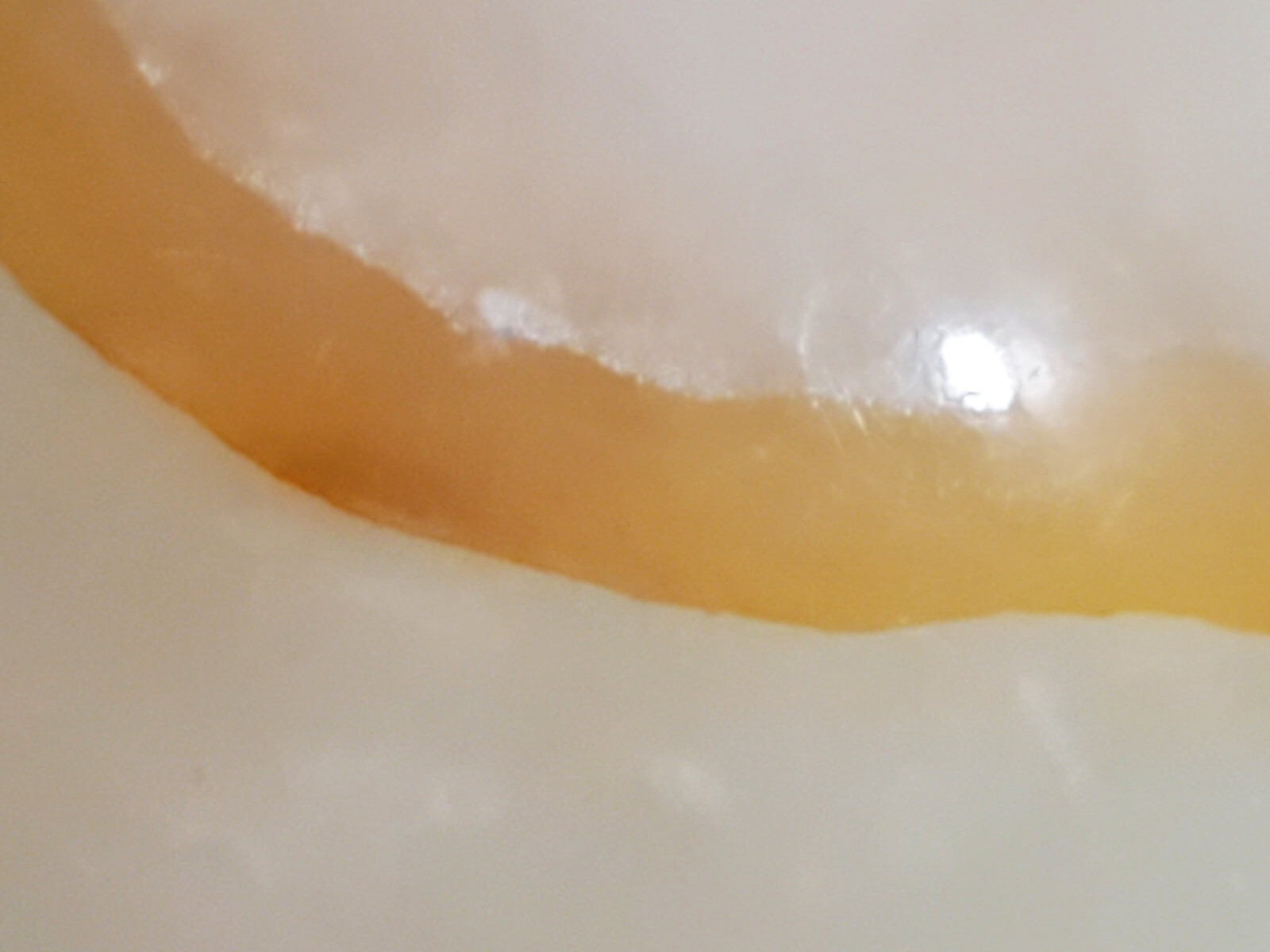 62G 33mm 1 5/16″ Natural Amethyst Quartz Onyx Marble Crystal Egg Mineral w/stand