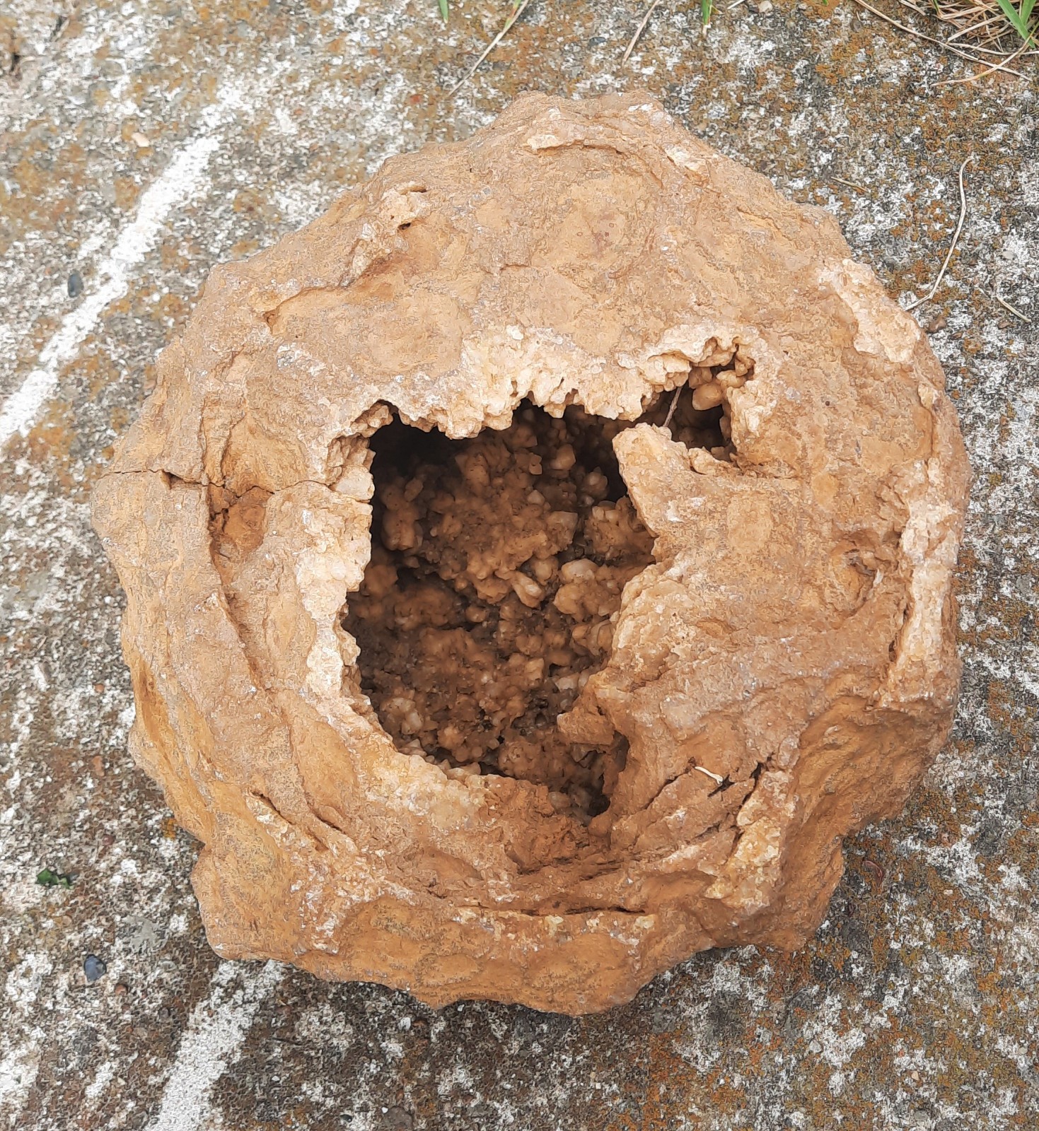 7″ KY. Iron Rock Geode with Odd Unique Crystals. Natural Opening, Eye Pleasing