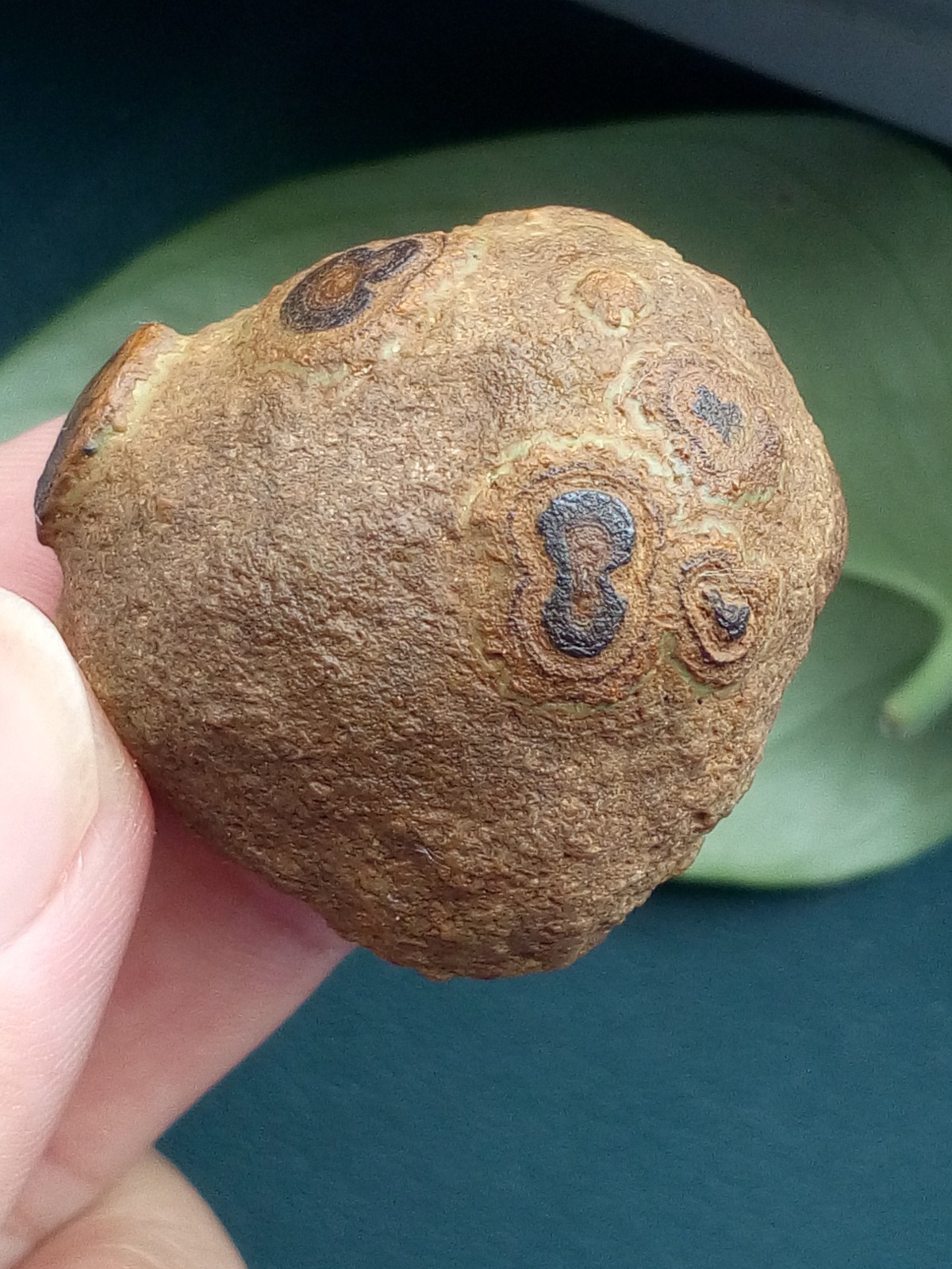 36mm/40g Natural Gobi agate eye agate stone collection