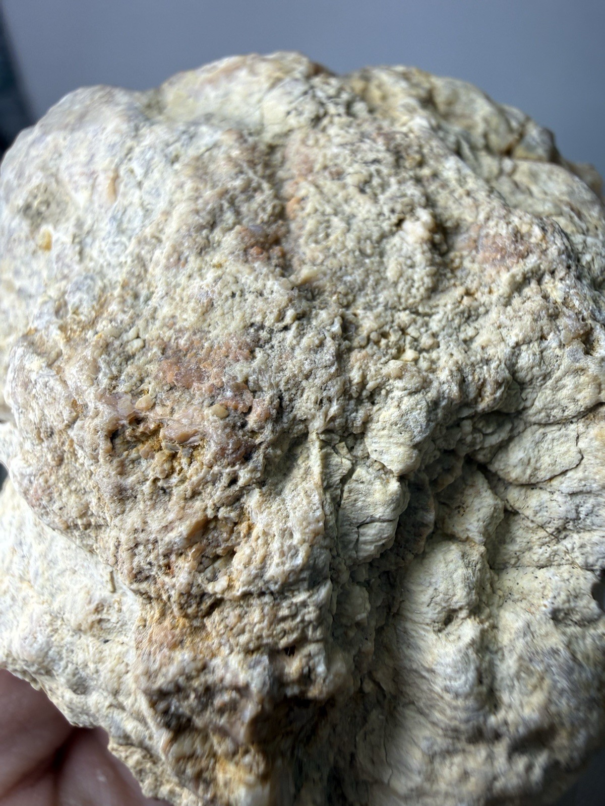 Natural Quartz Crystal Mineral Geode Pieces Annville, Kentucky 236grams