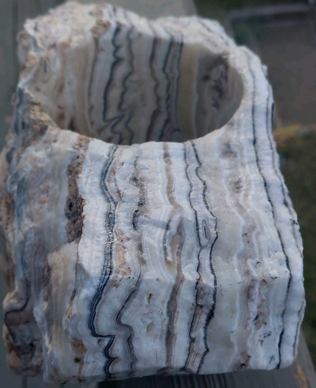 13.25Lb Zebra Calcite W CORED 4″ “Window” Display UV+ Bands Wrap Unique Décor