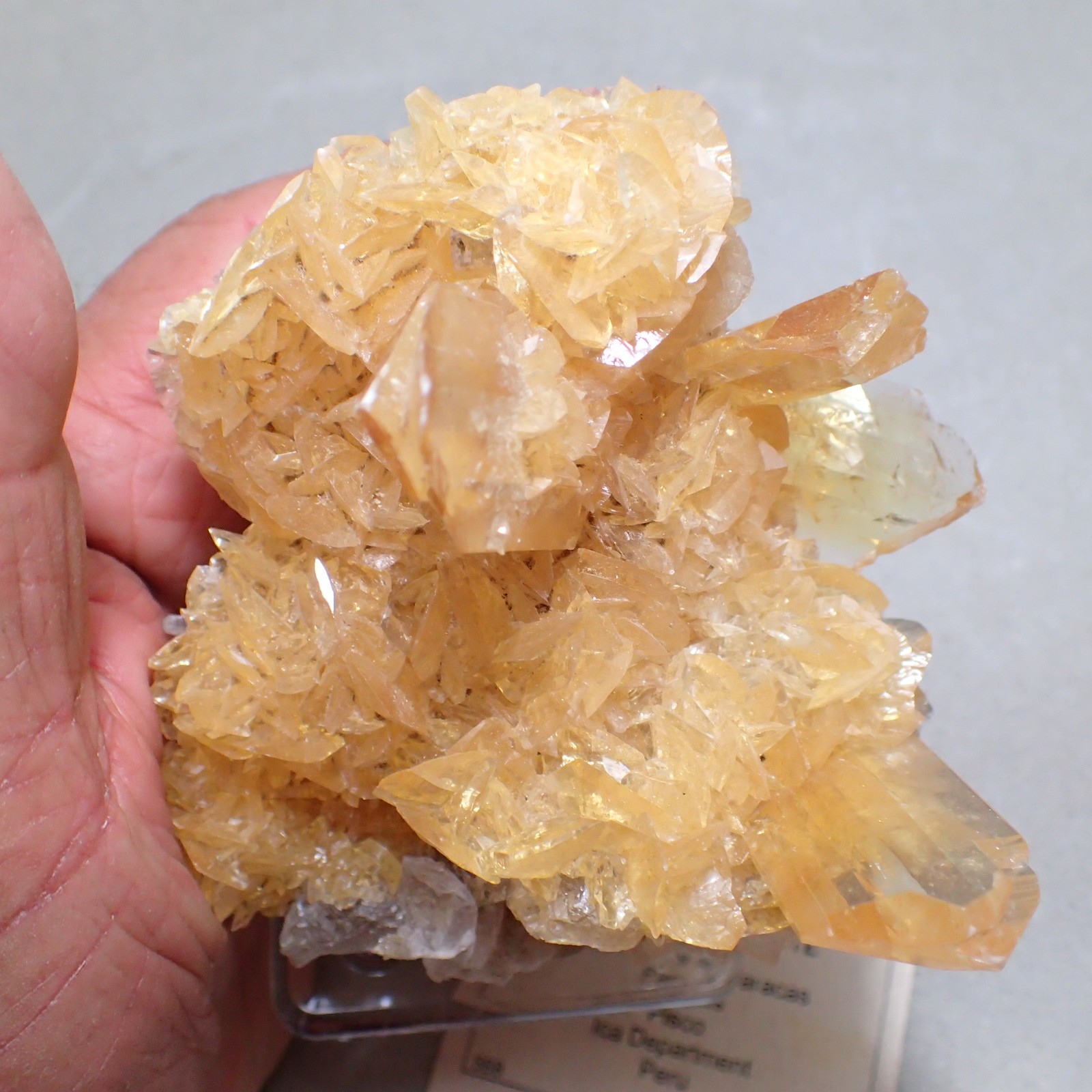 Selenite (Gypsum) with Halite, Las Salinas de Paracas, Ica Department, Peru