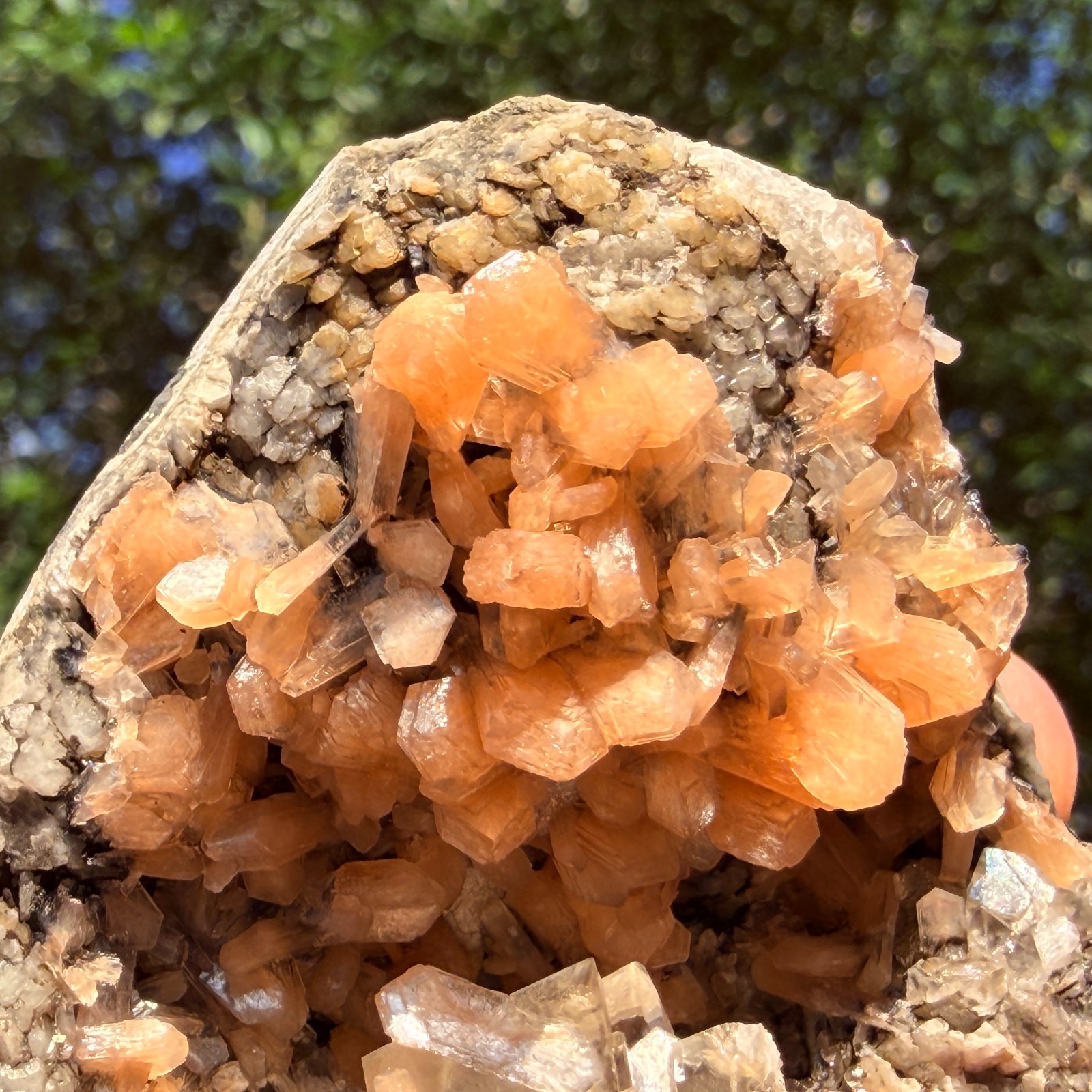 Rare Calcite Stellerite Julgodite Geode India Dual Wave UV Fluorescent Stand