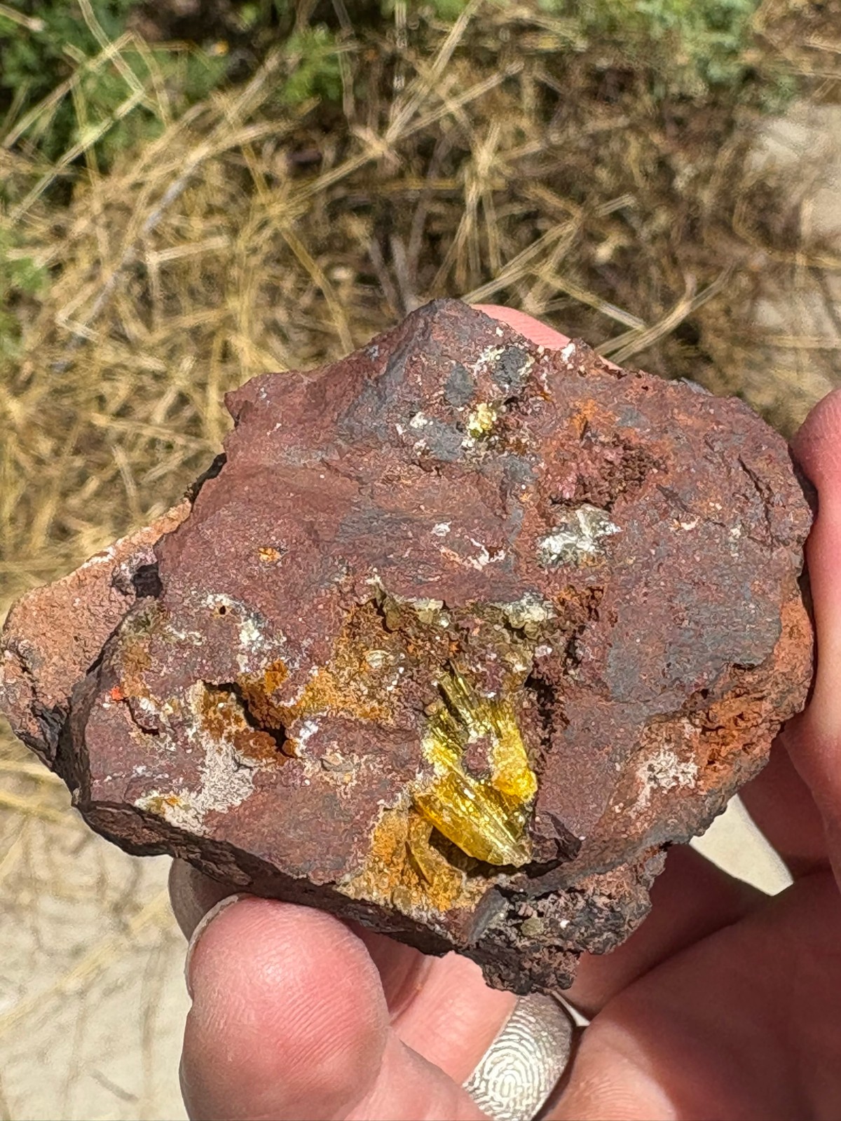 Legrandite crystal spray in matrix, Ojuela mine, Mapimi, Durango, Mexico