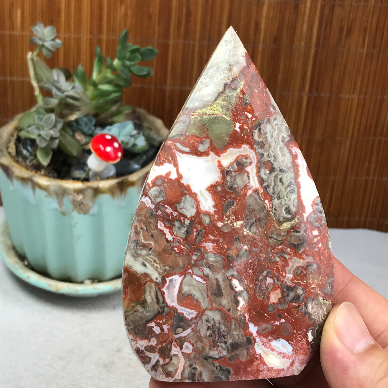 Natural money Mexico agate hand carve leaf Crystal Specimen free standing A6255