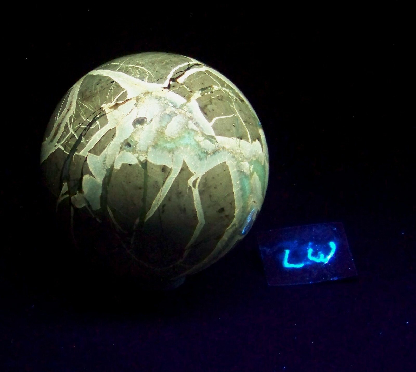 Fluorescent Septarian Nodule Sphere 76mm Collectible or Meditation Ball 4510